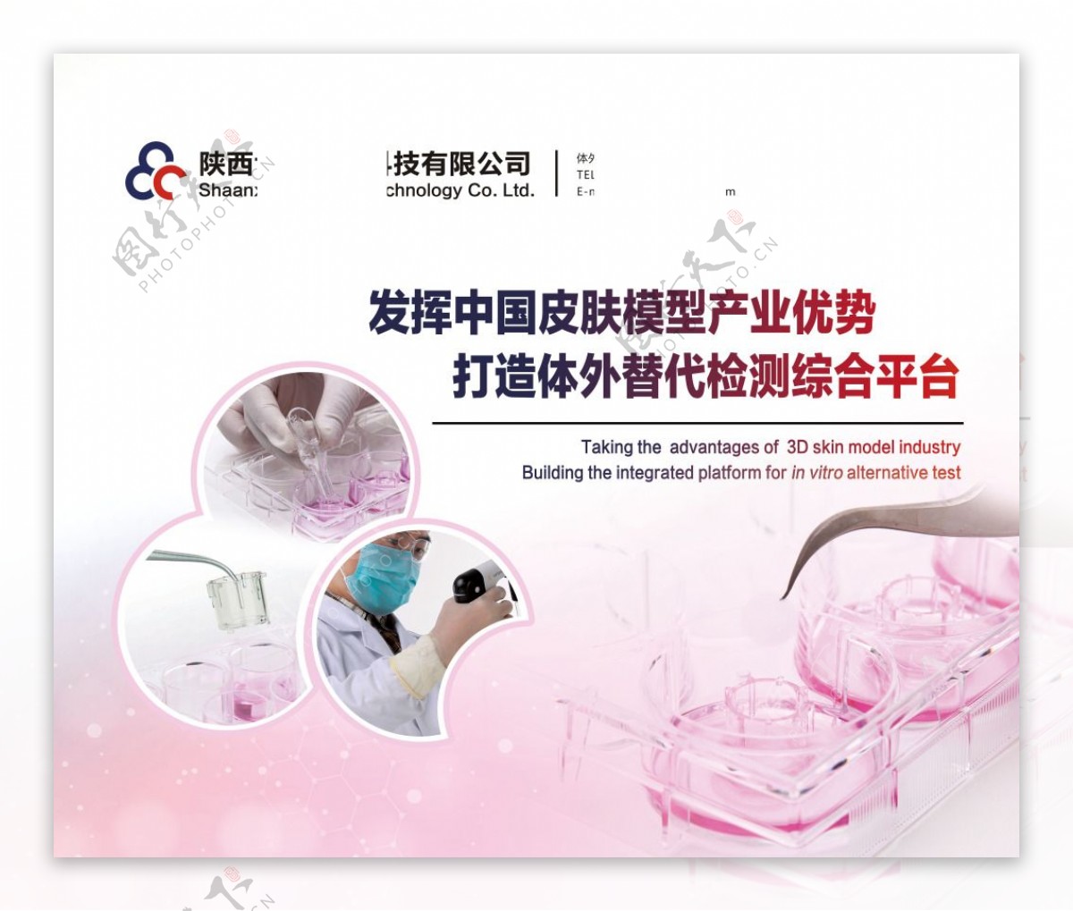 高清公司实验生物化学海报
