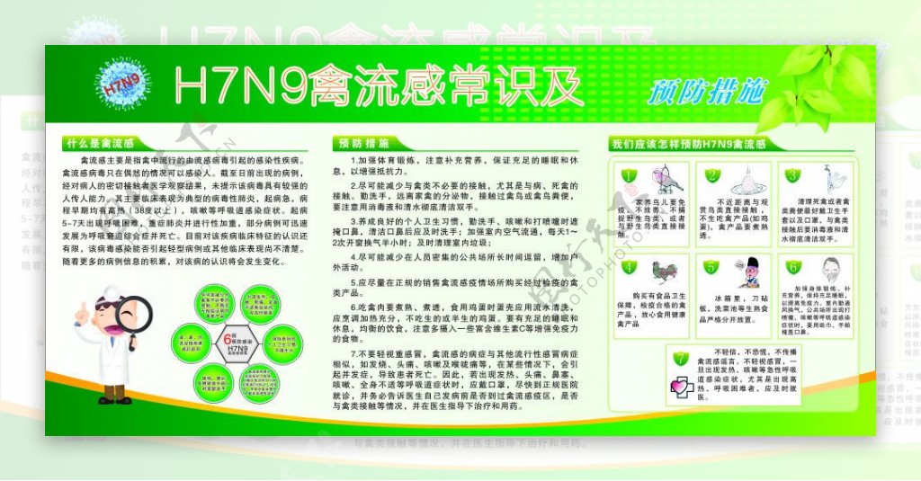 H7N9禽流感常识宣传栏