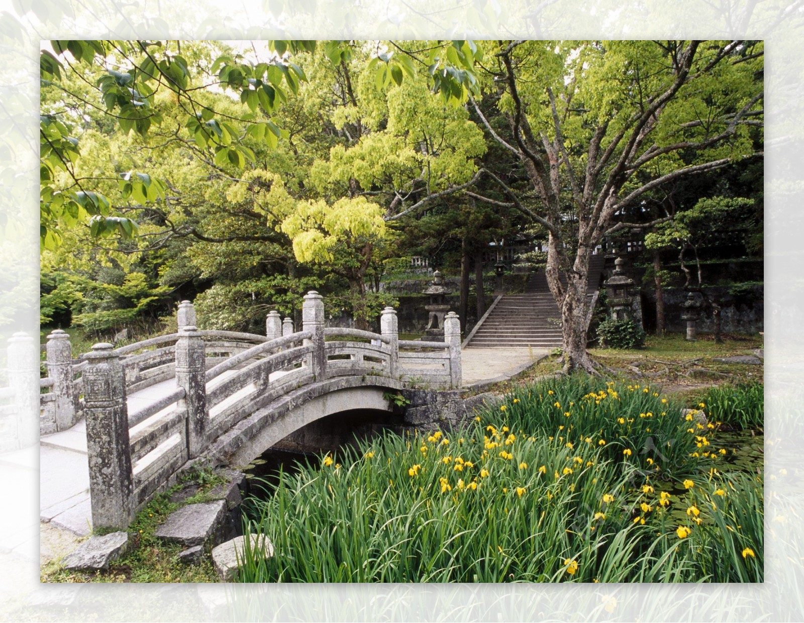 日本建筑园艺环境园林艺术