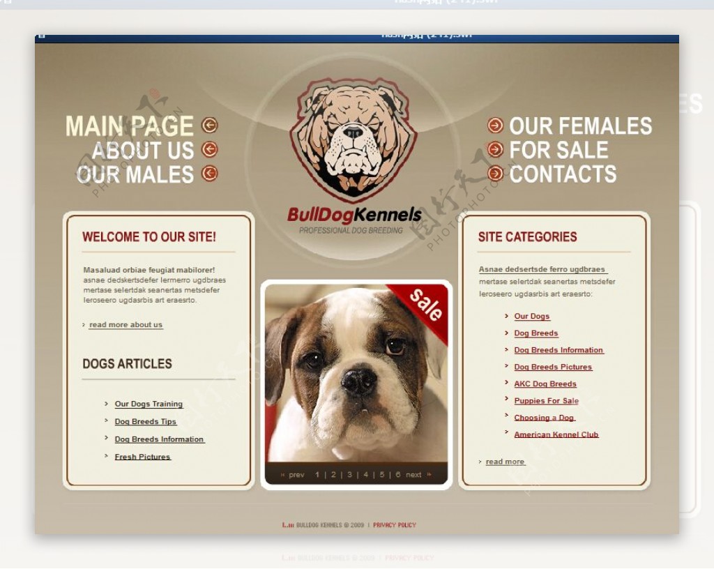 小狗界面设计flash网页模板