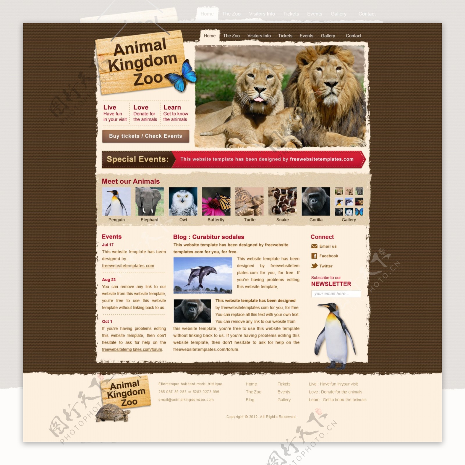 动物王国的PSD网页模板