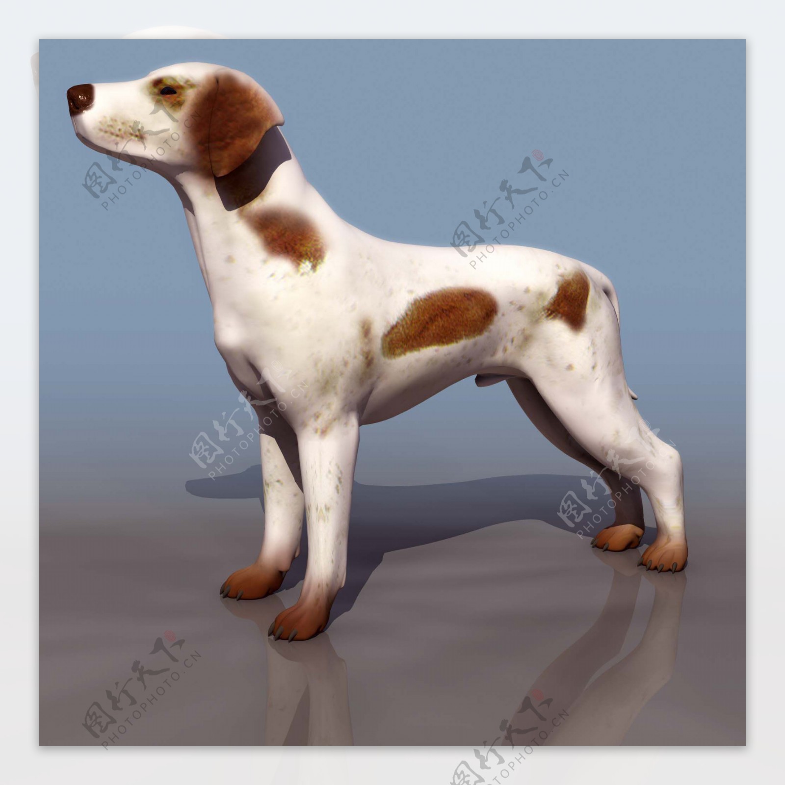 小狗动物3D模型素材