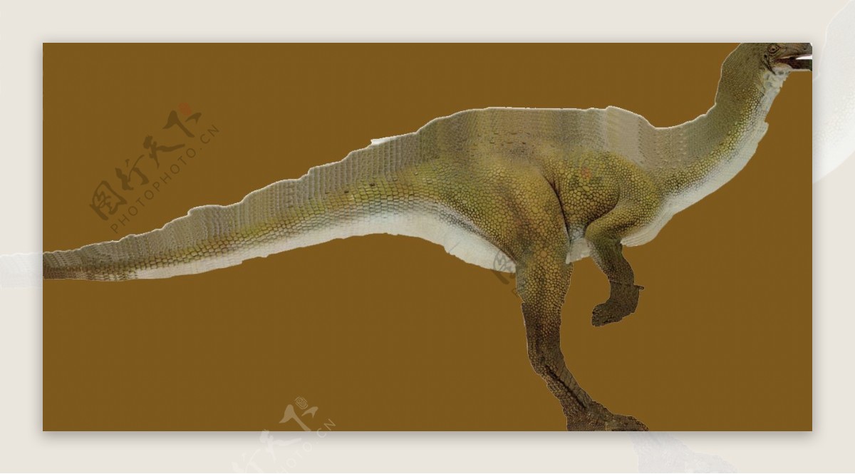 动物恐龙爬行类3d模型素材免费下载动物模型22