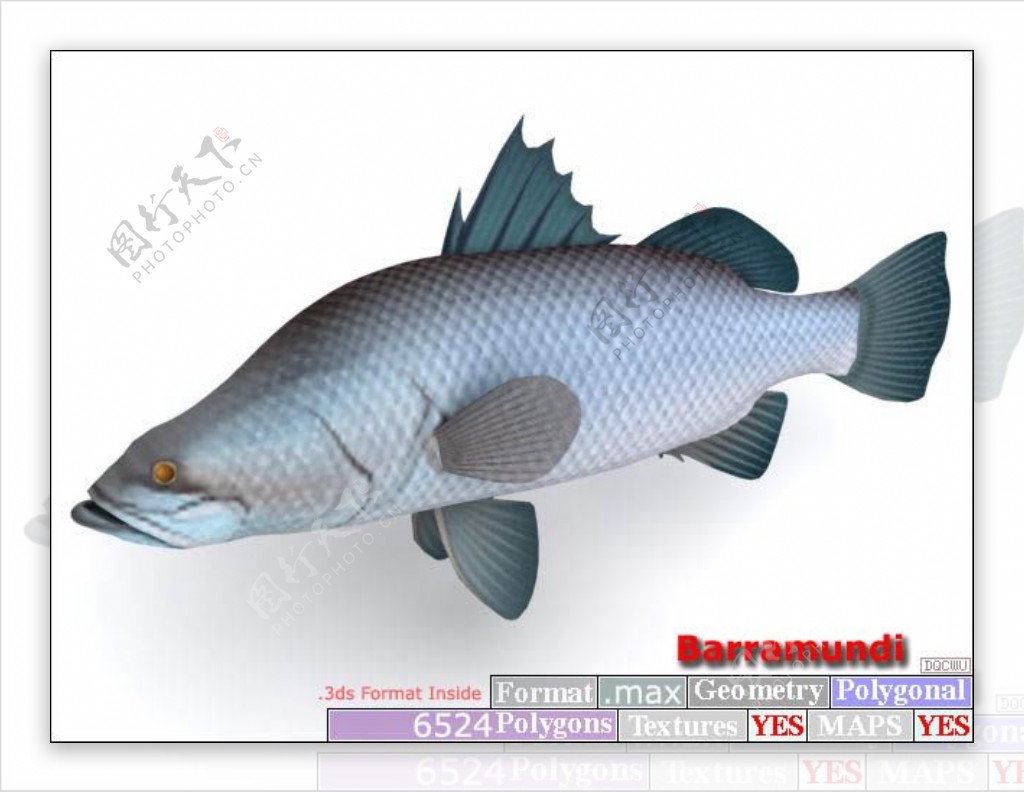 动物鱼类3d模型动植物模型免费下载动植物3d模型37