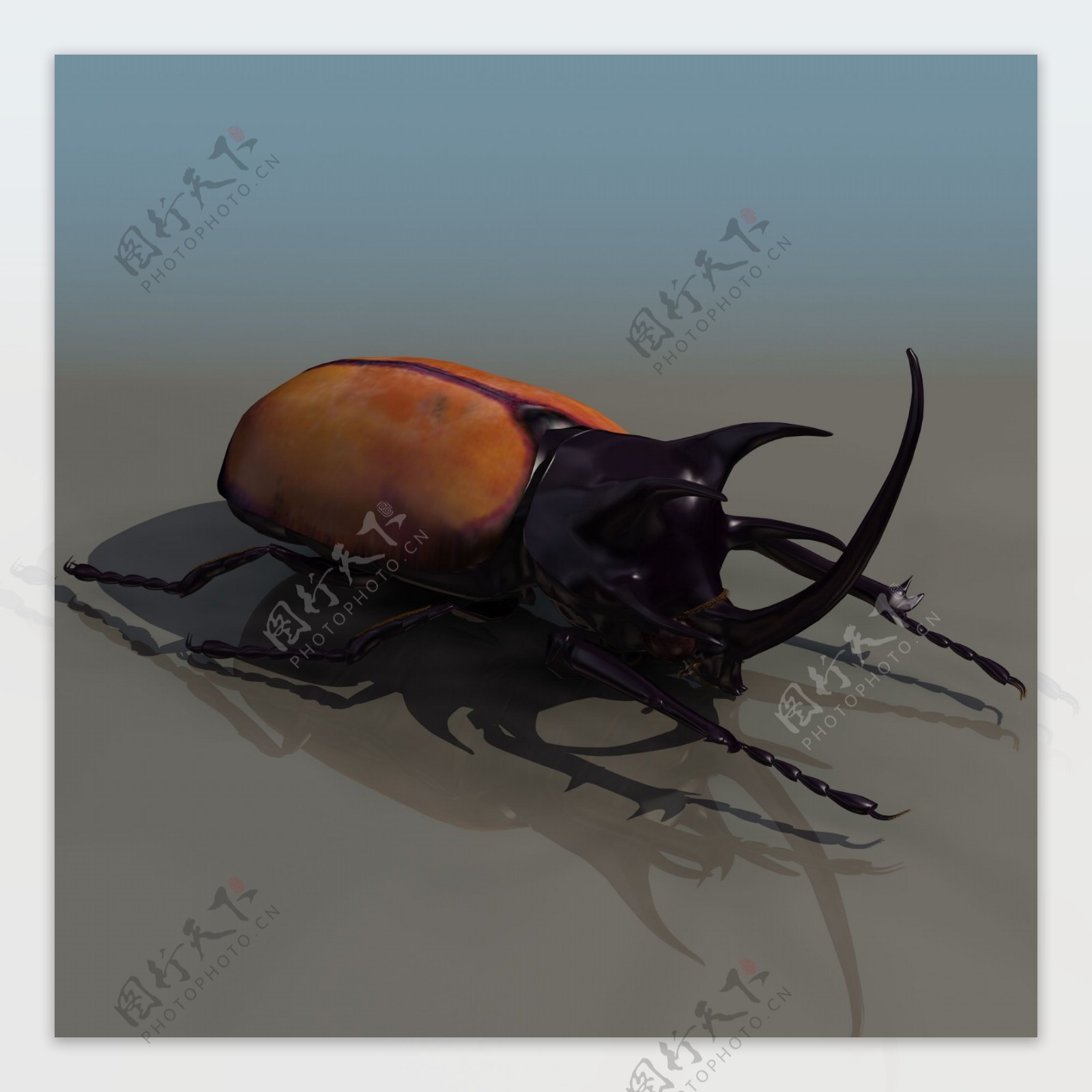 BEATLE甲壳虫模型01