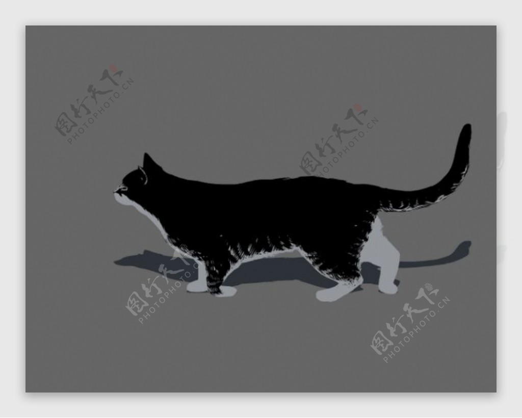 黑猫猫flash动画
