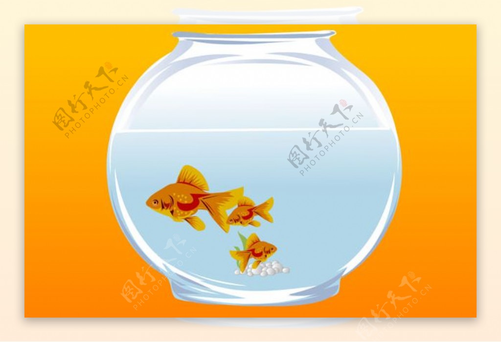 鱼缸里的金鱼flash