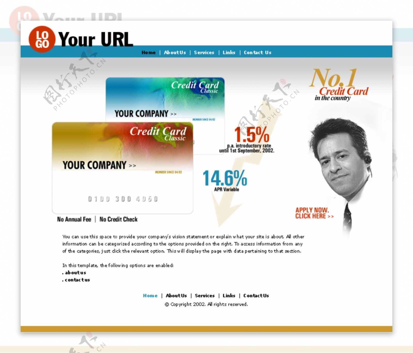 欧美信用卡发行机构网站模板