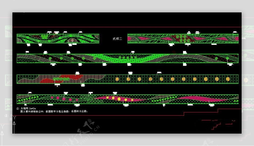 市政道路绿化大样图