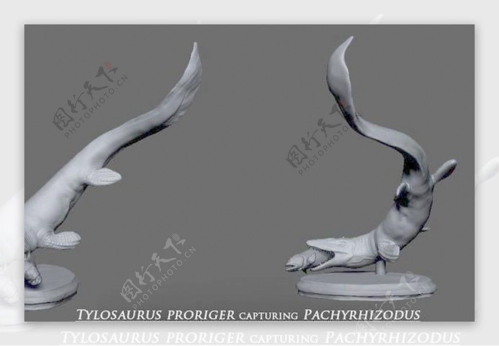 海王龙proriger捕获pachyrhizodus模型