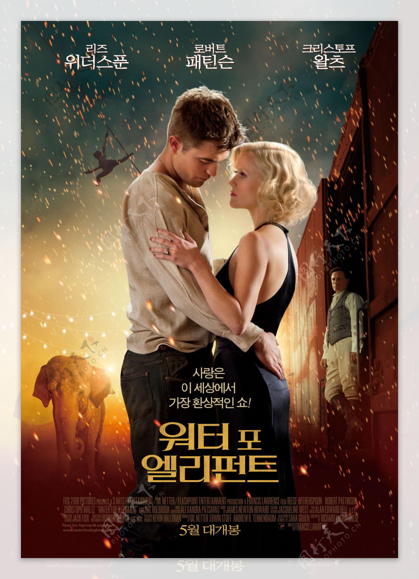 大象的眼泪电影海报韩国版图片