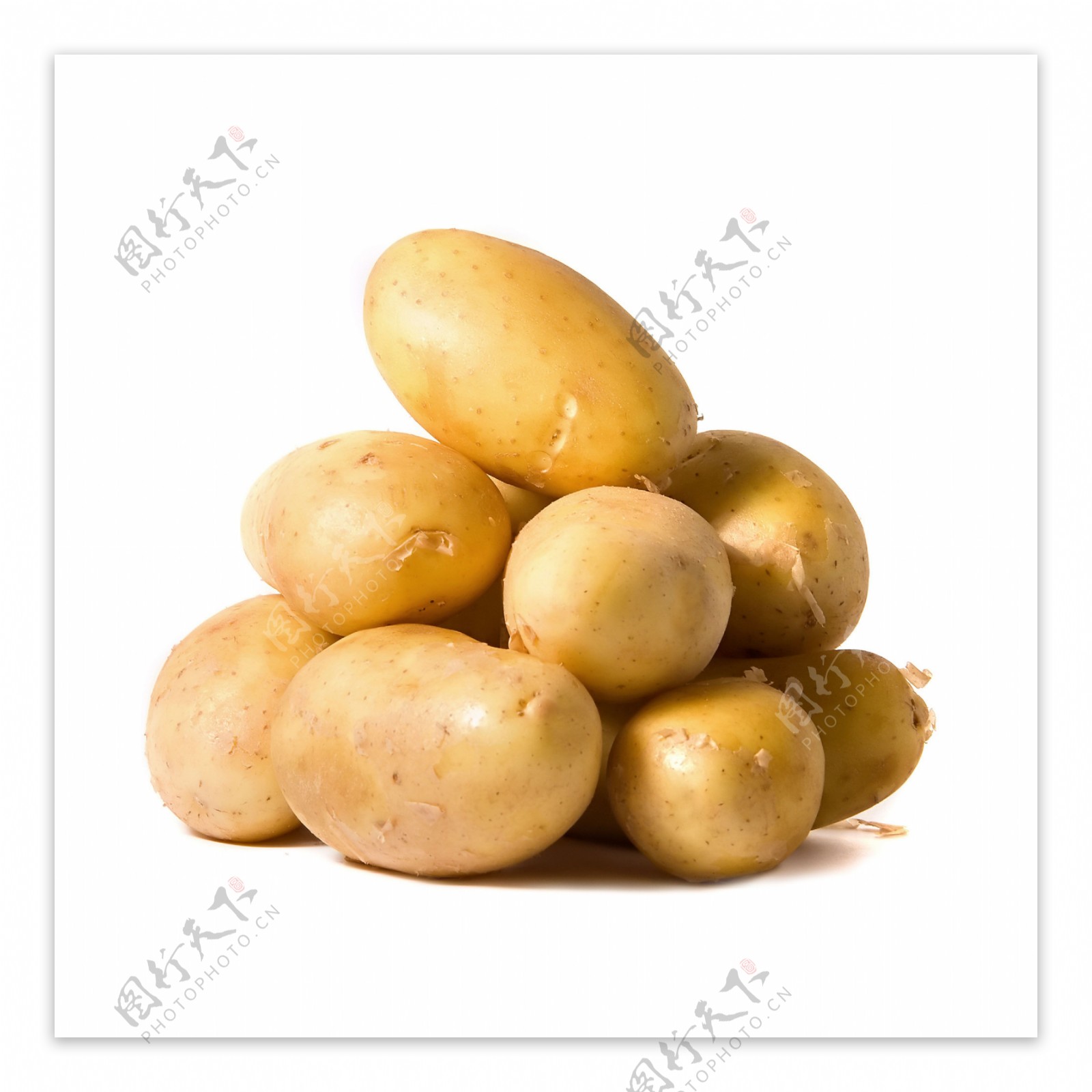 土豆高清照片图片