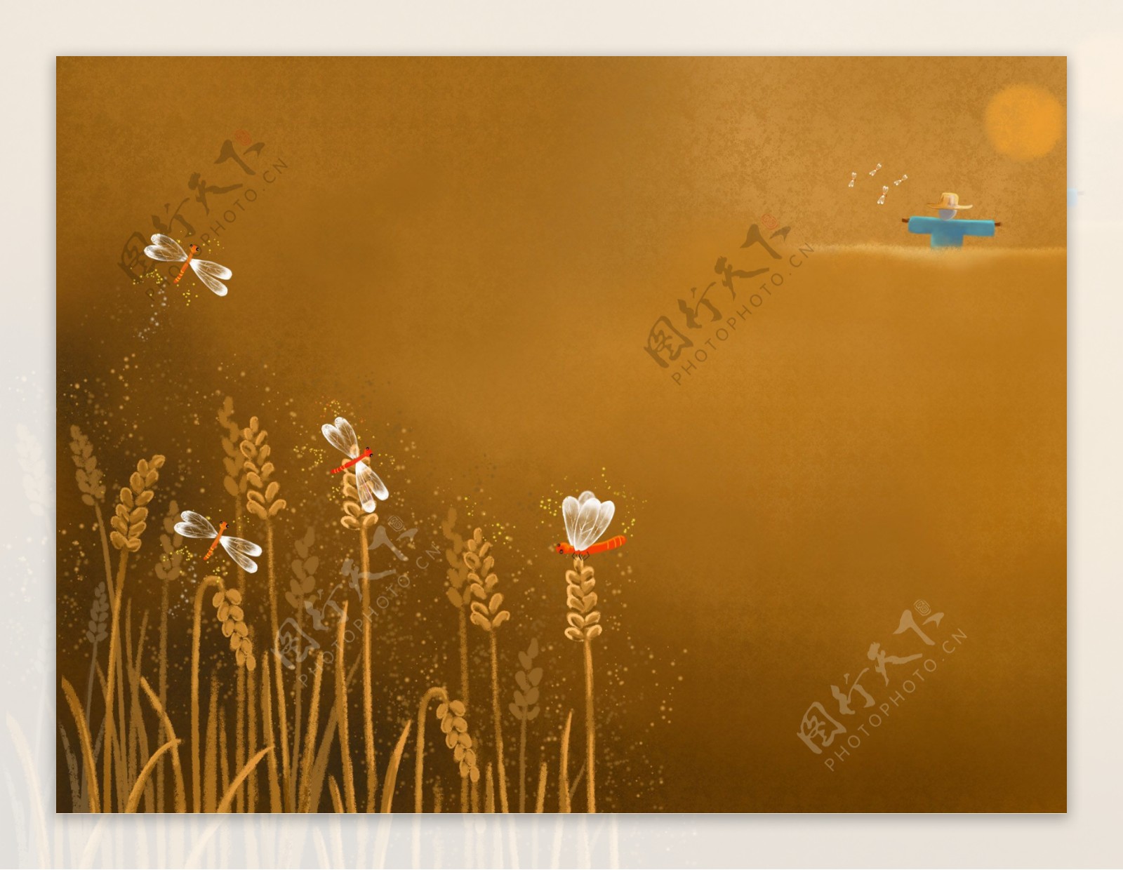 蜻蜓稻谷卡通背景