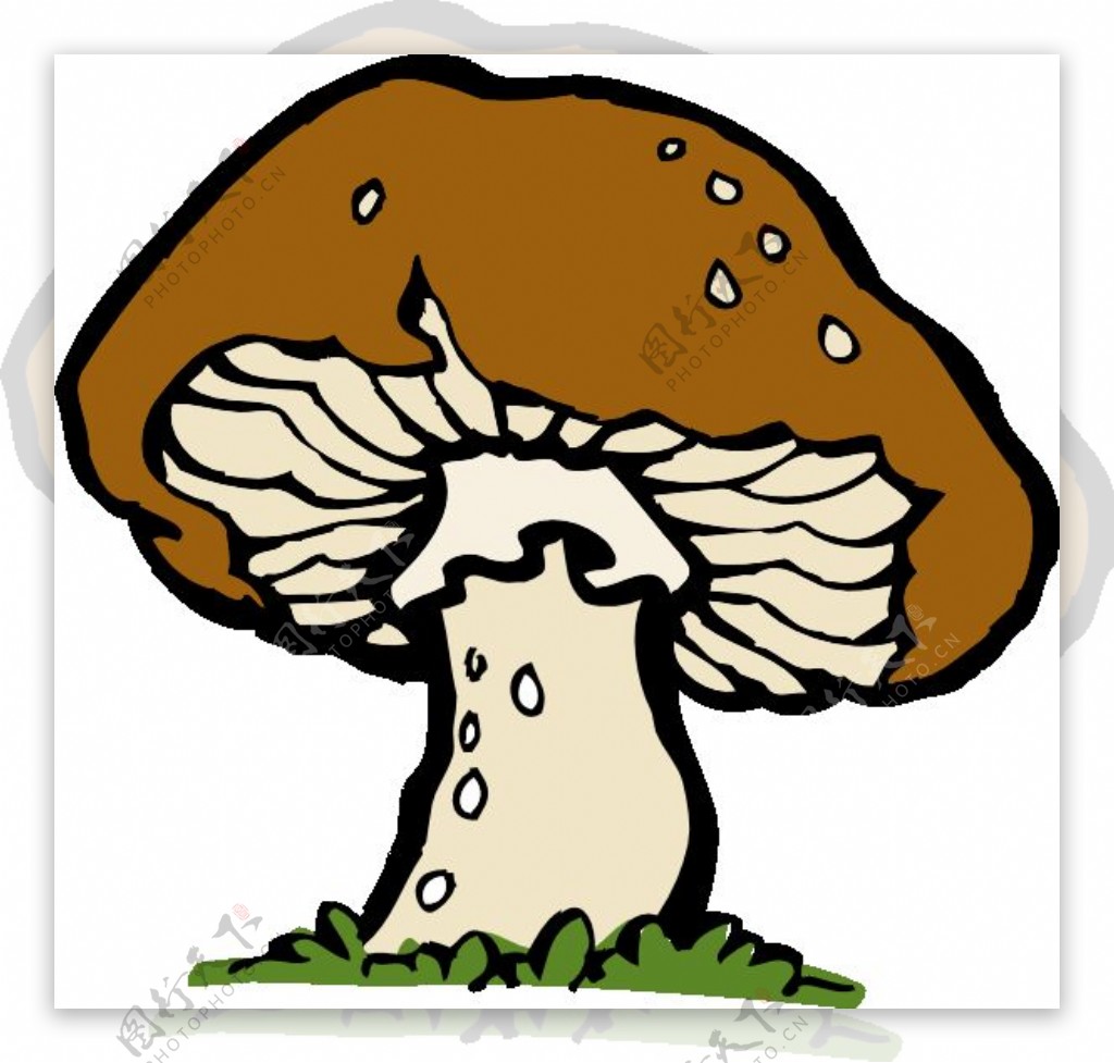 大蘑菇剪贴画
