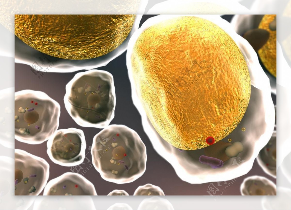 细胞微生物细菌生物学图片