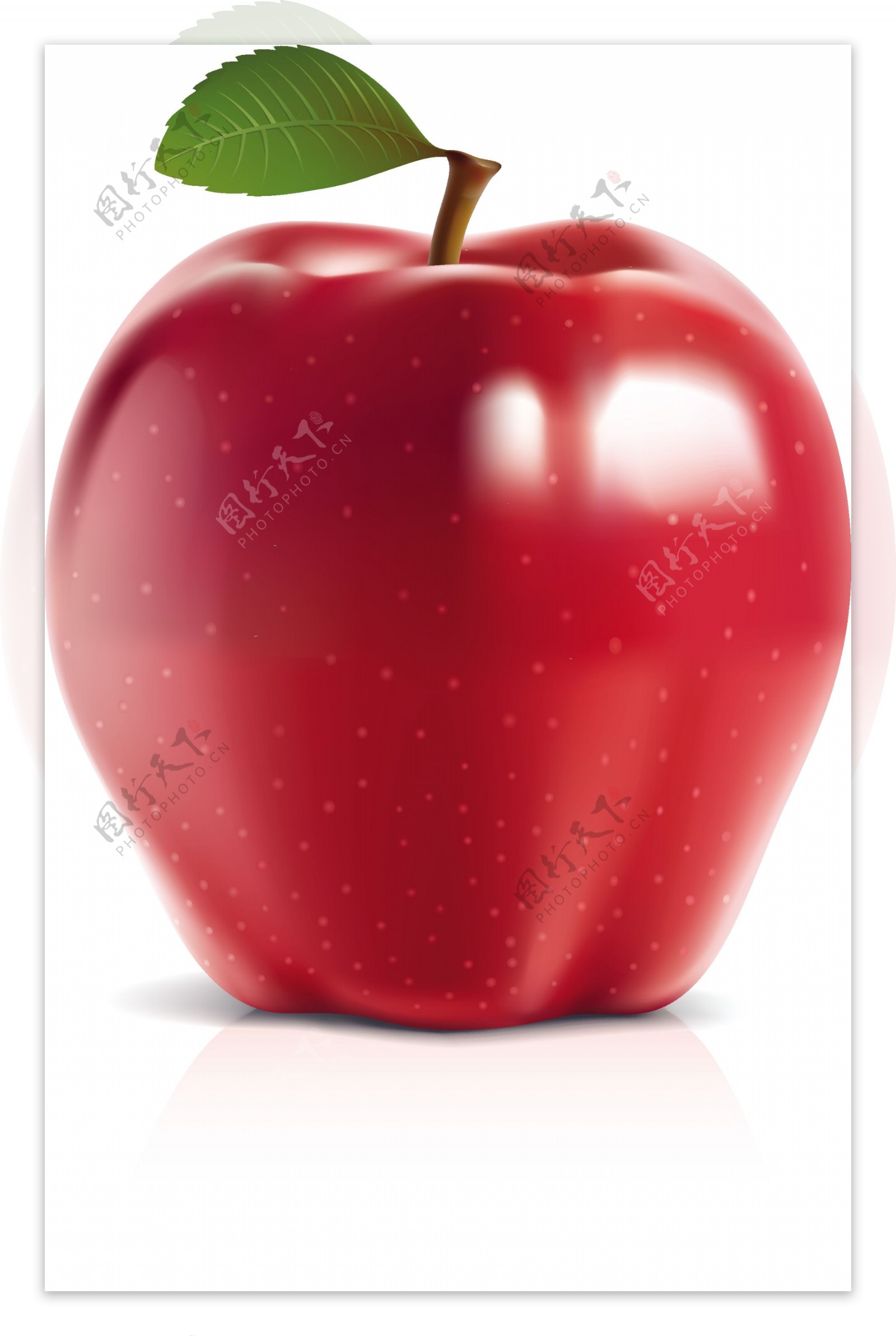 可与照片媲美的青苹果和红苹果矢量素材