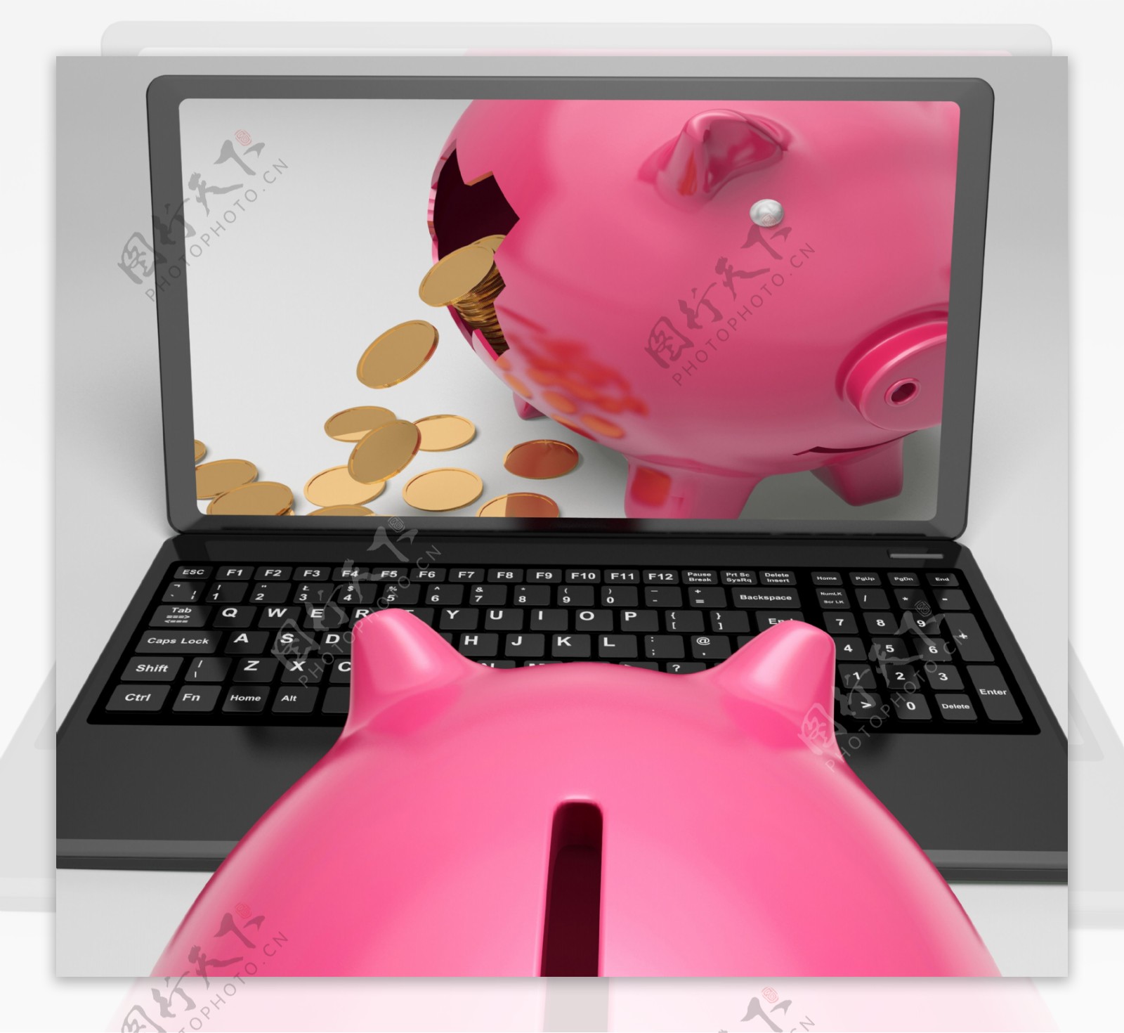 硬币的小猪笔记本电脑显示银行业金融成功