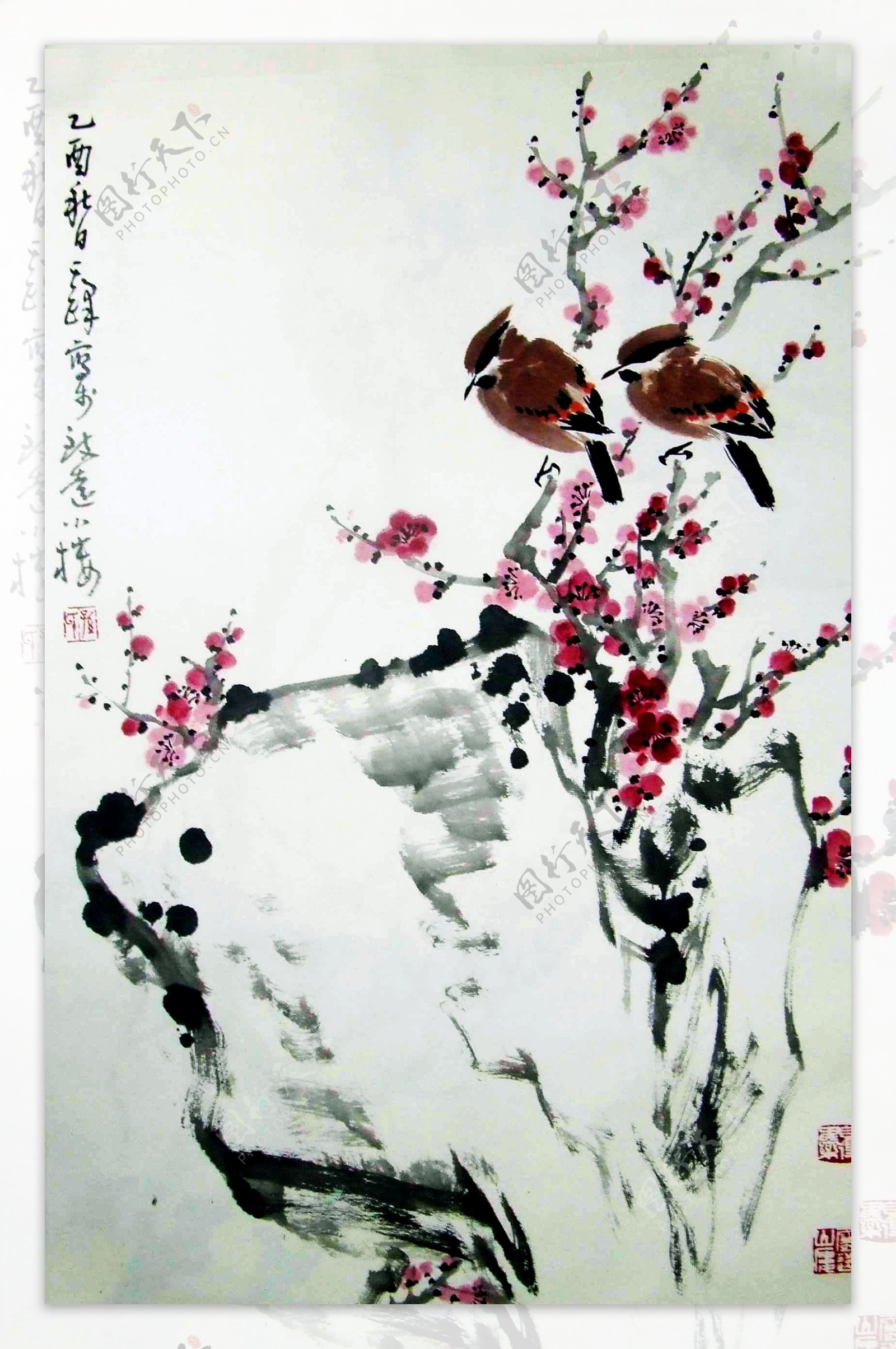 红梅小鸟图图片