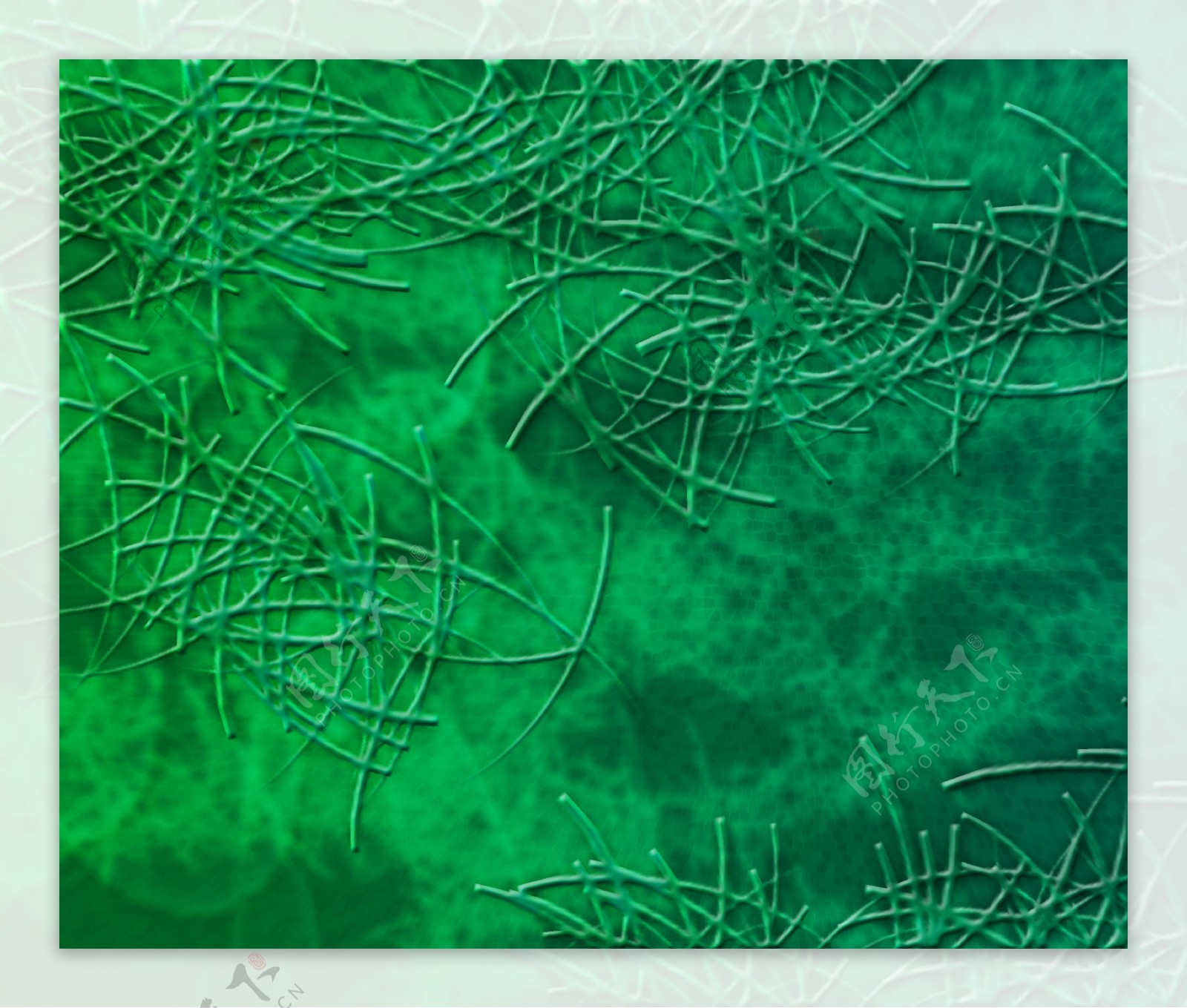 绿色微生物纹理