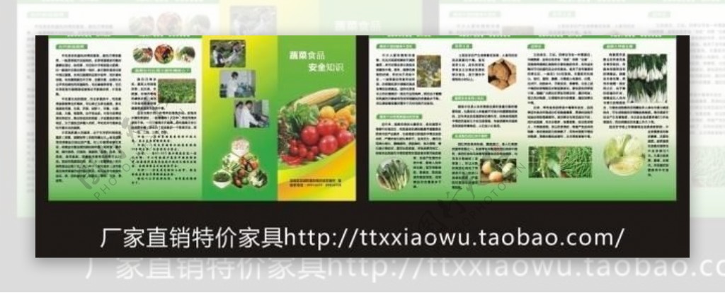 蔬菜食品安全知识折页图片