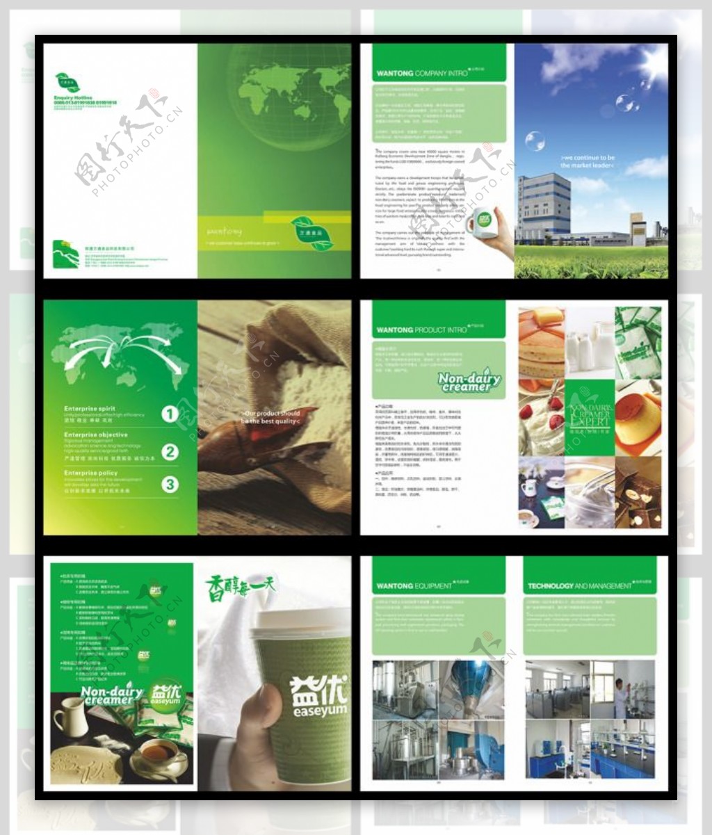 绿色册子设计