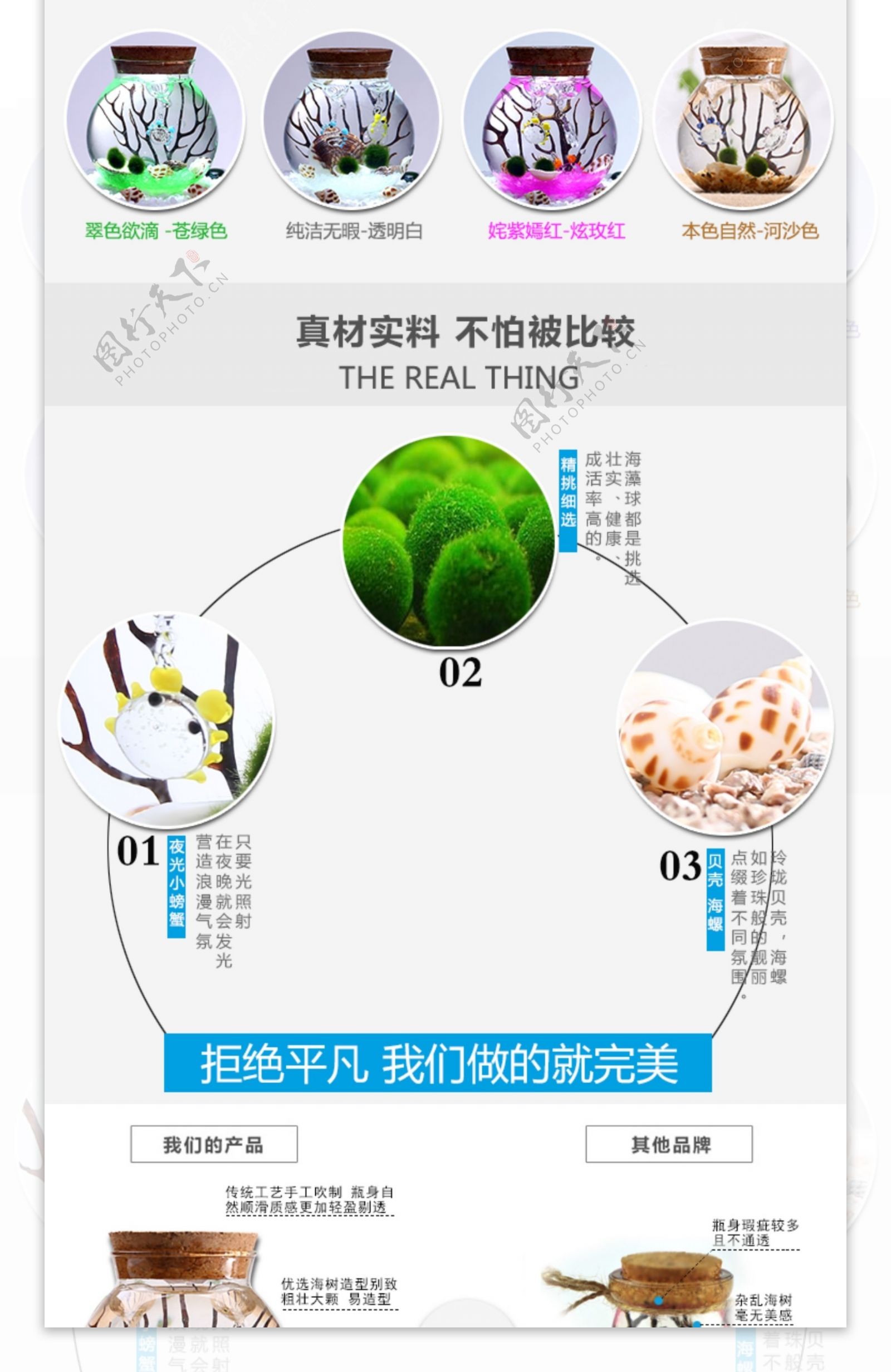 海藻球详情页创意迷你植物幸福海藻球