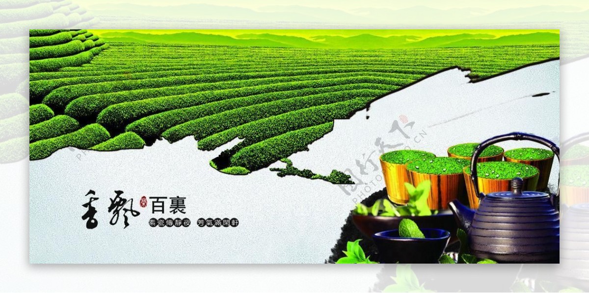 茶叶香飘百里图片