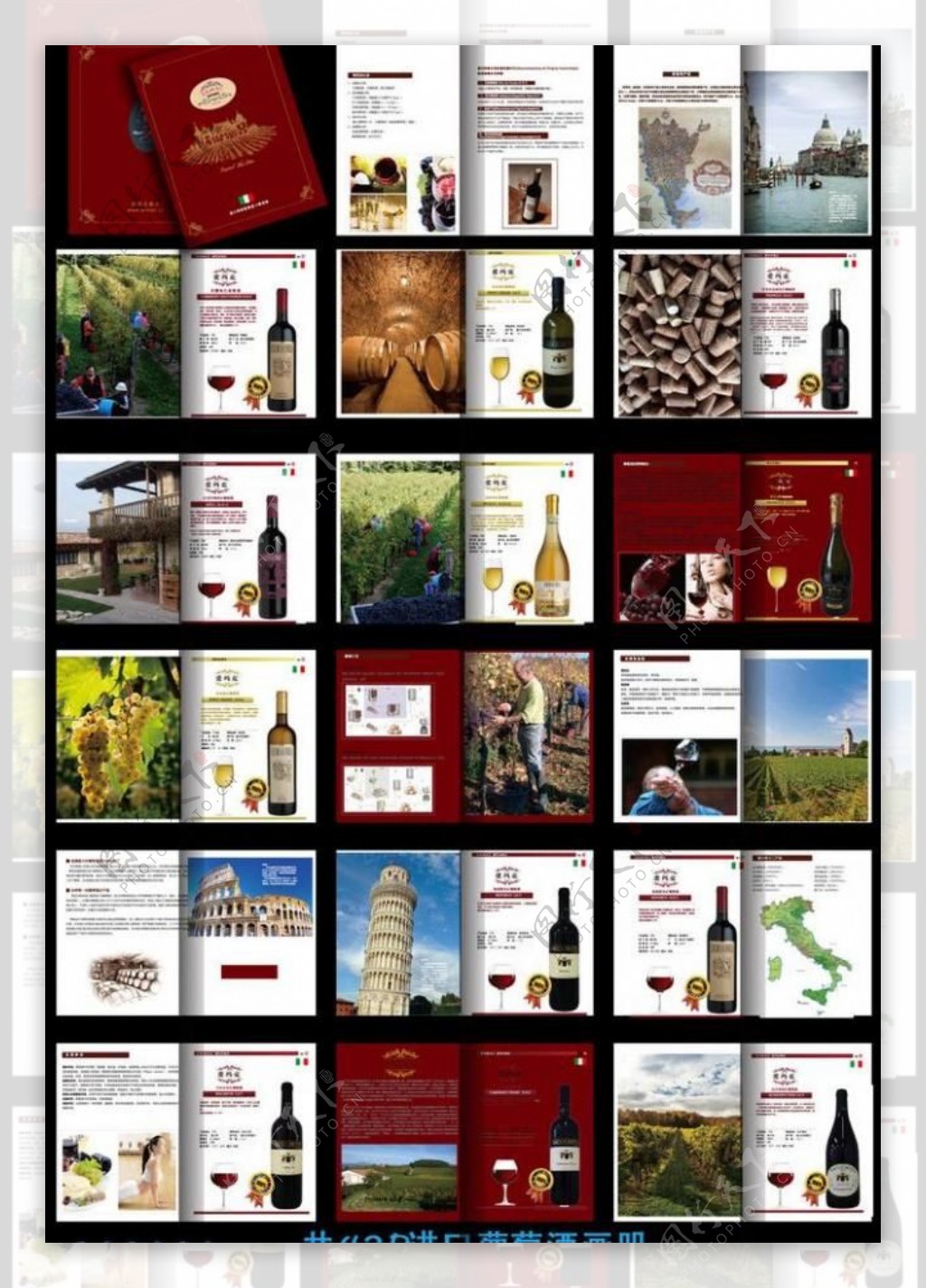 葡萄酒完整画册图片
