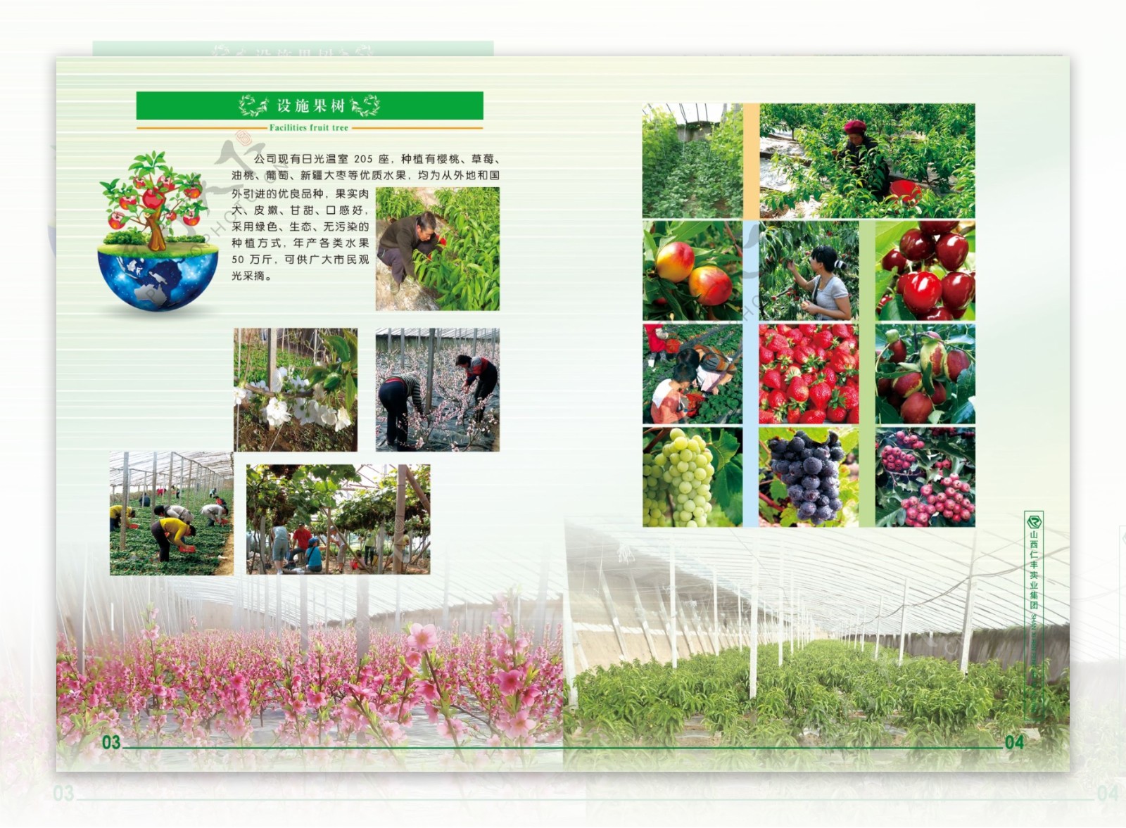 企业农产品画册图片