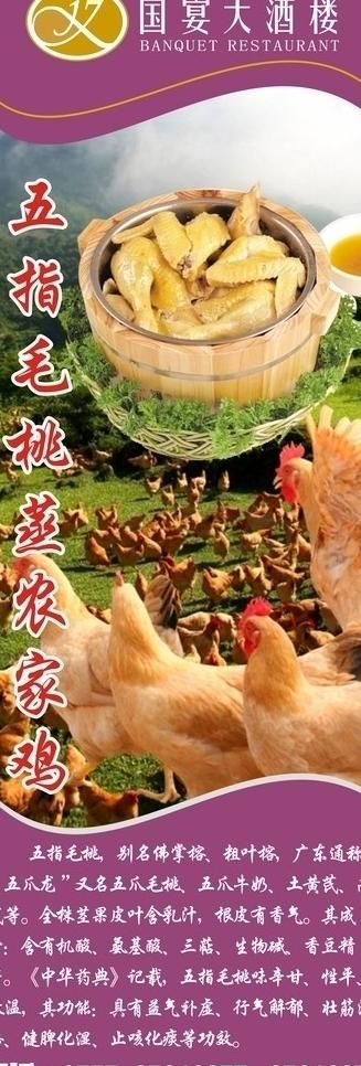 农家鸡x展架图片