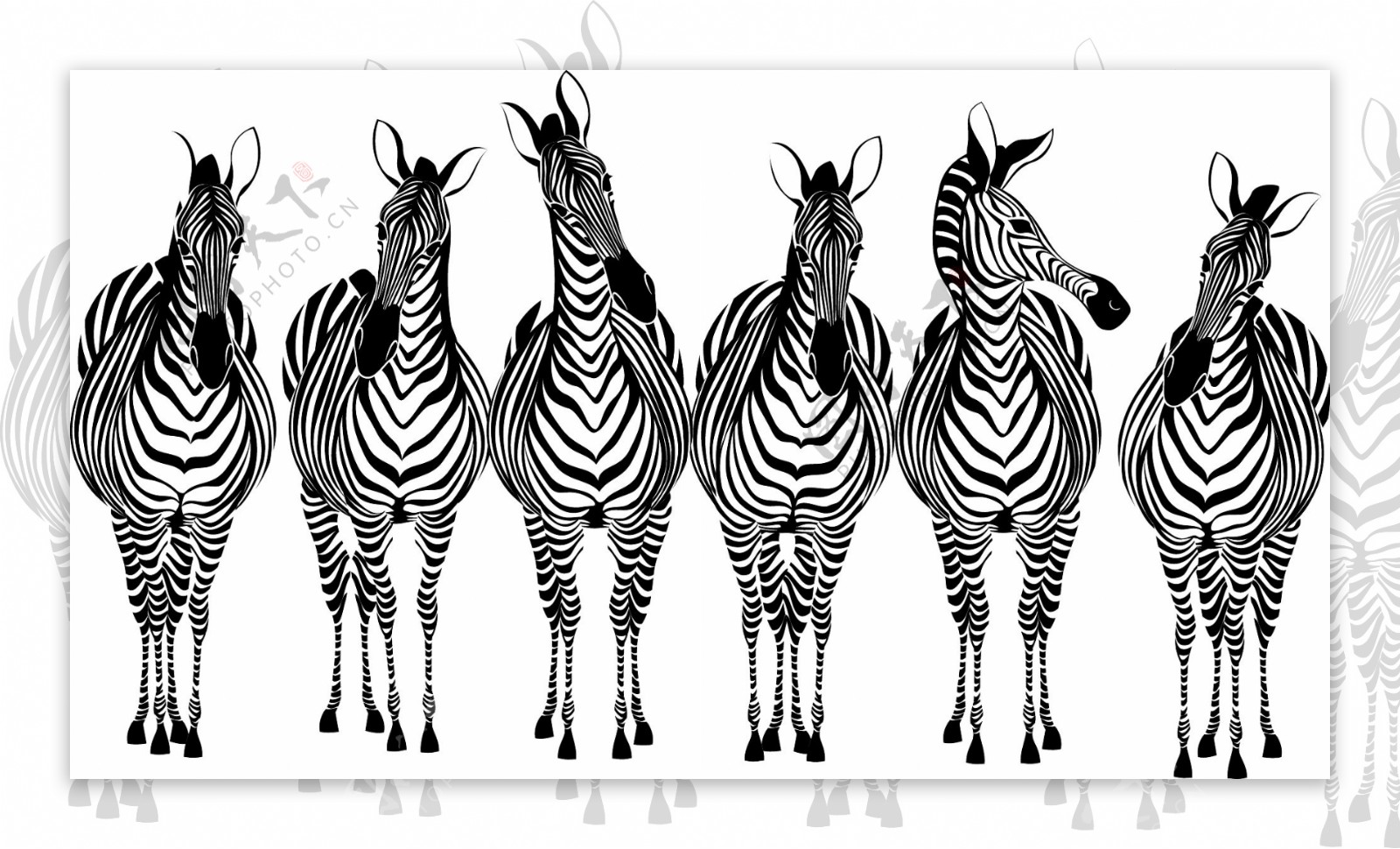 手工绘制的斑马和长颈鹿设计矢量图03