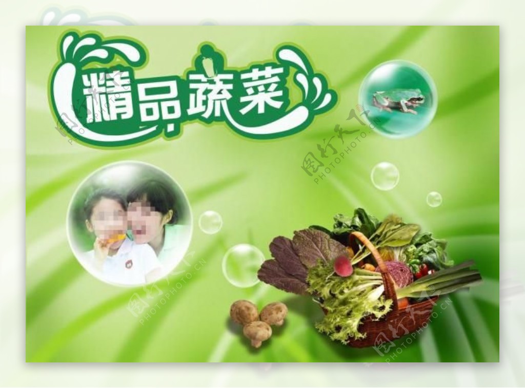 精品蔬菜超市展板图片
