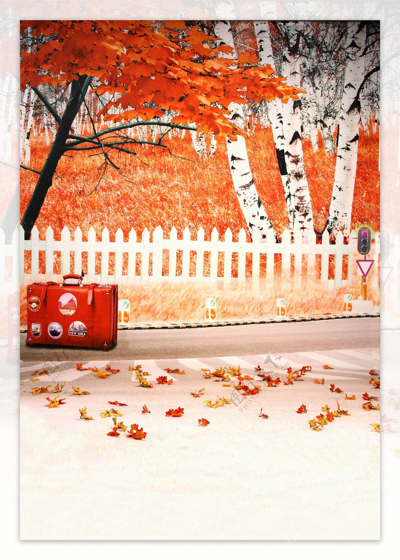 秋季枫叶影楼背景高清图片
