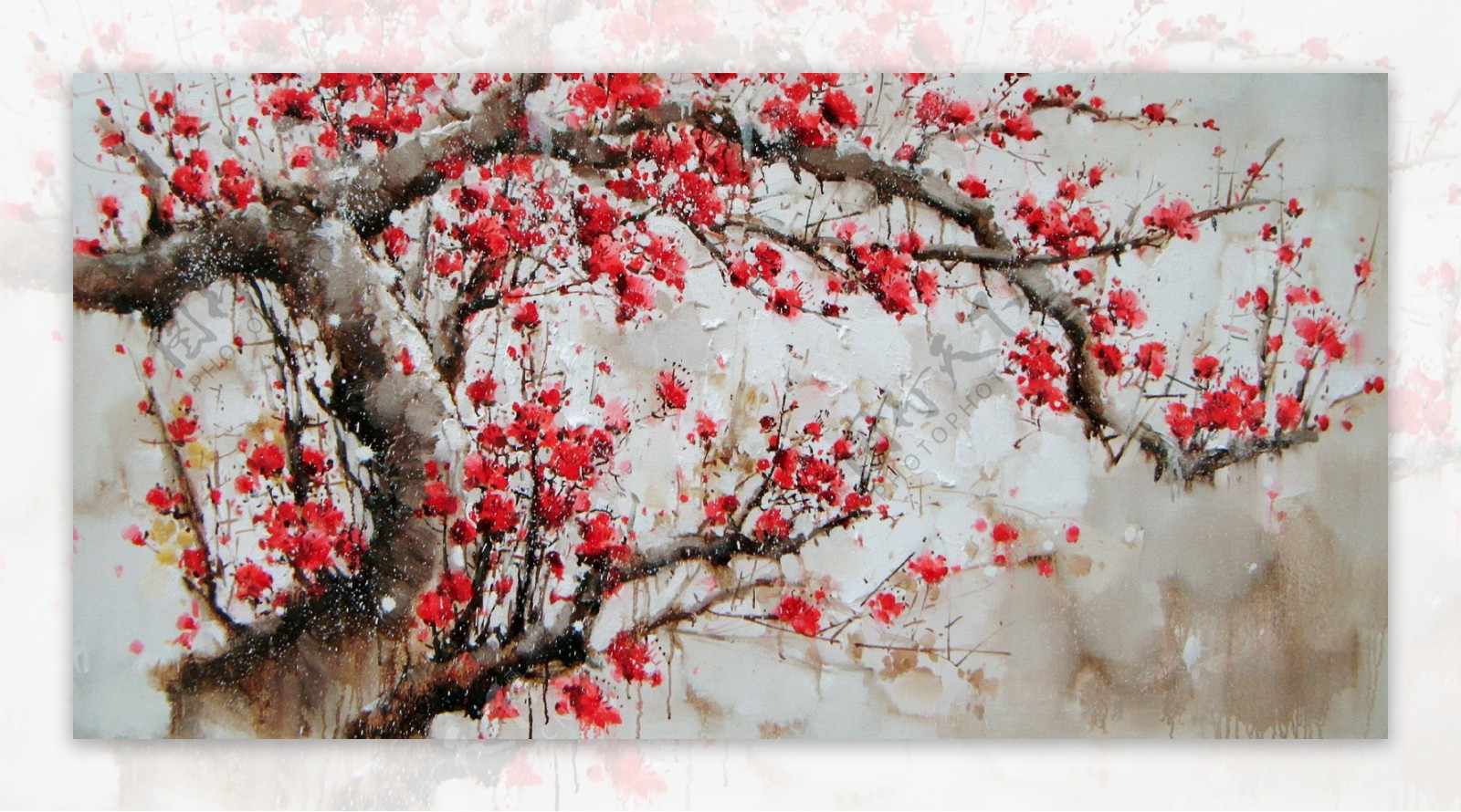 雪地红梅图片