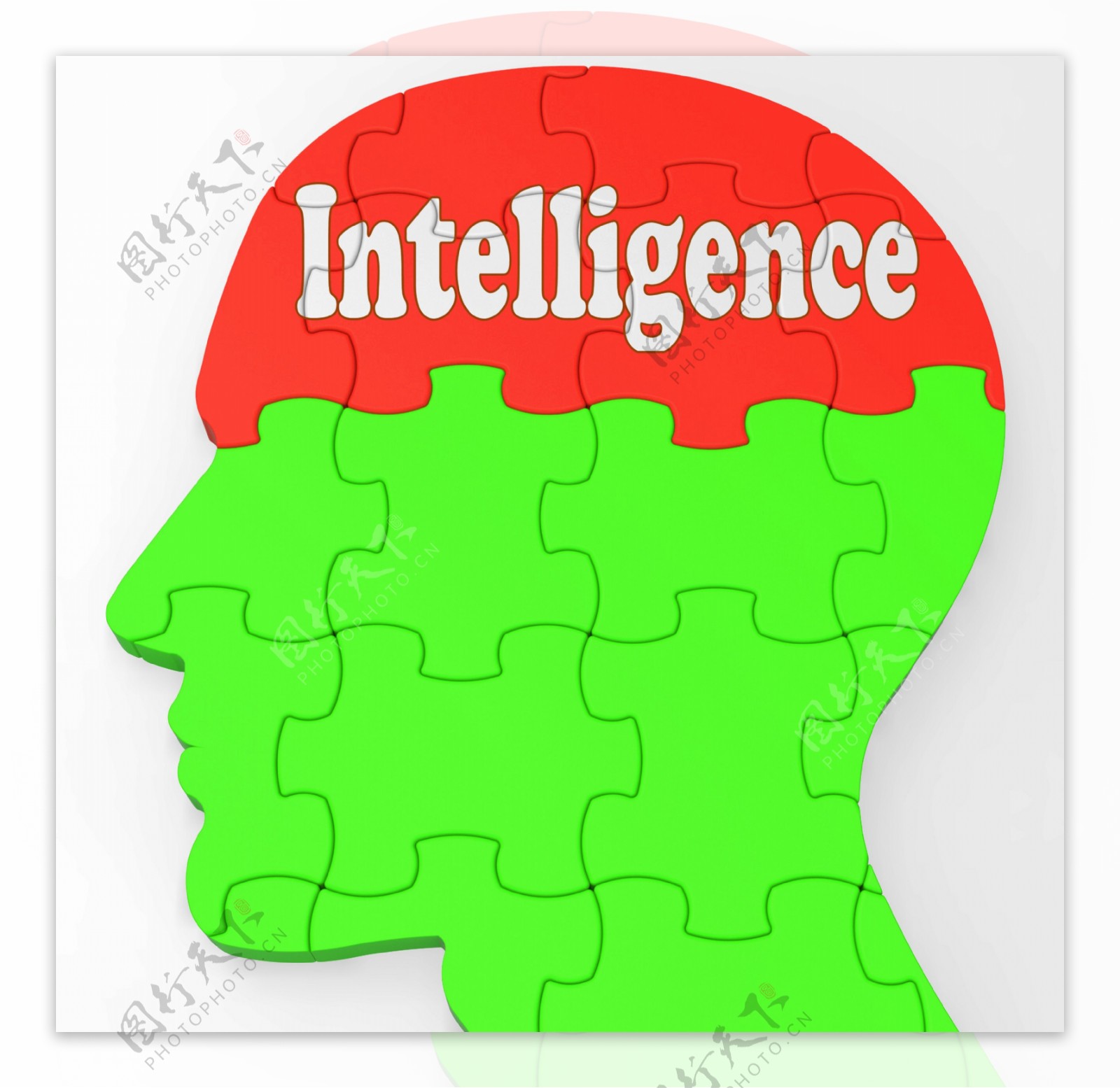 智能大脑显示知识信息和教育