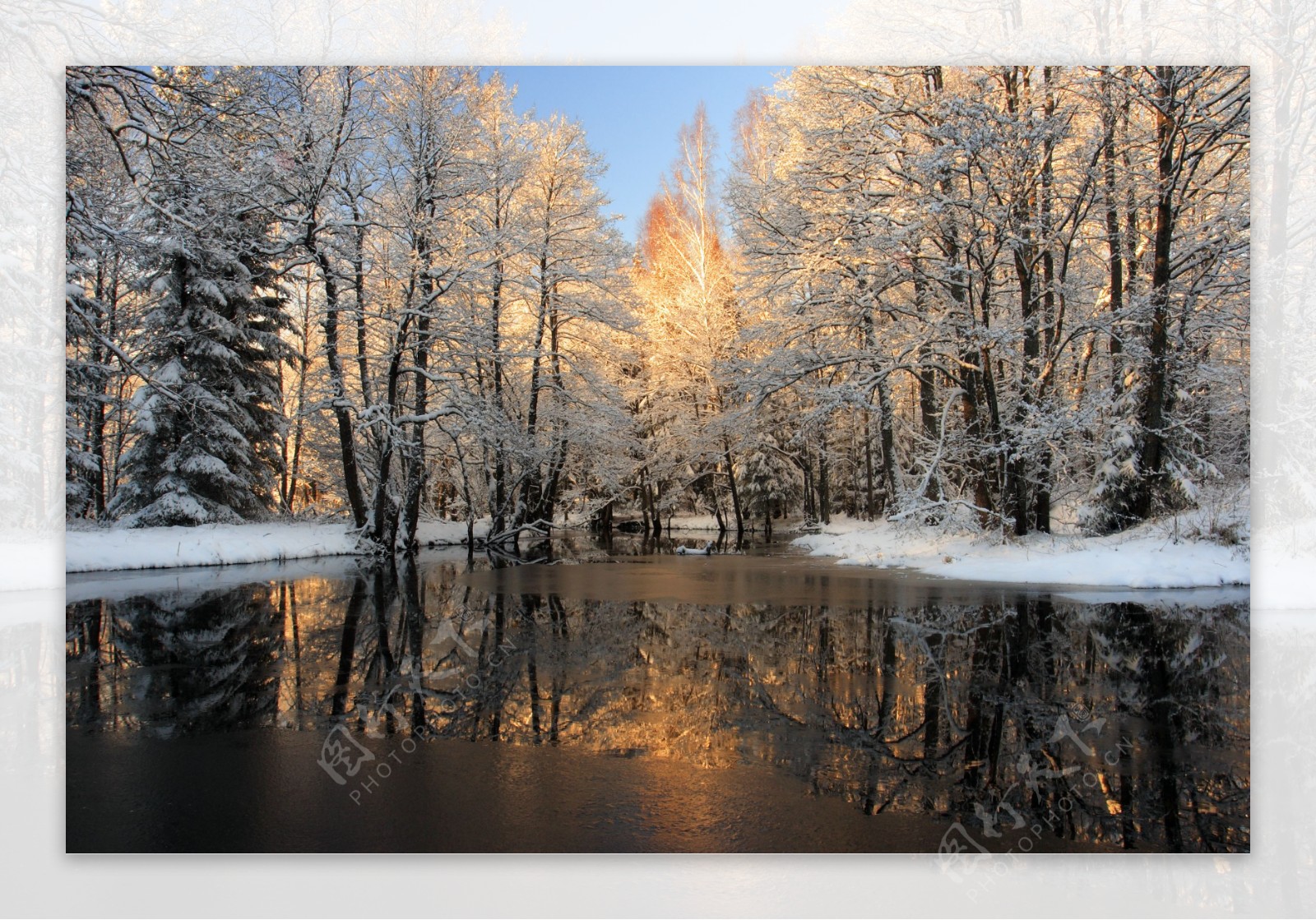 高清风景素材森林融雪