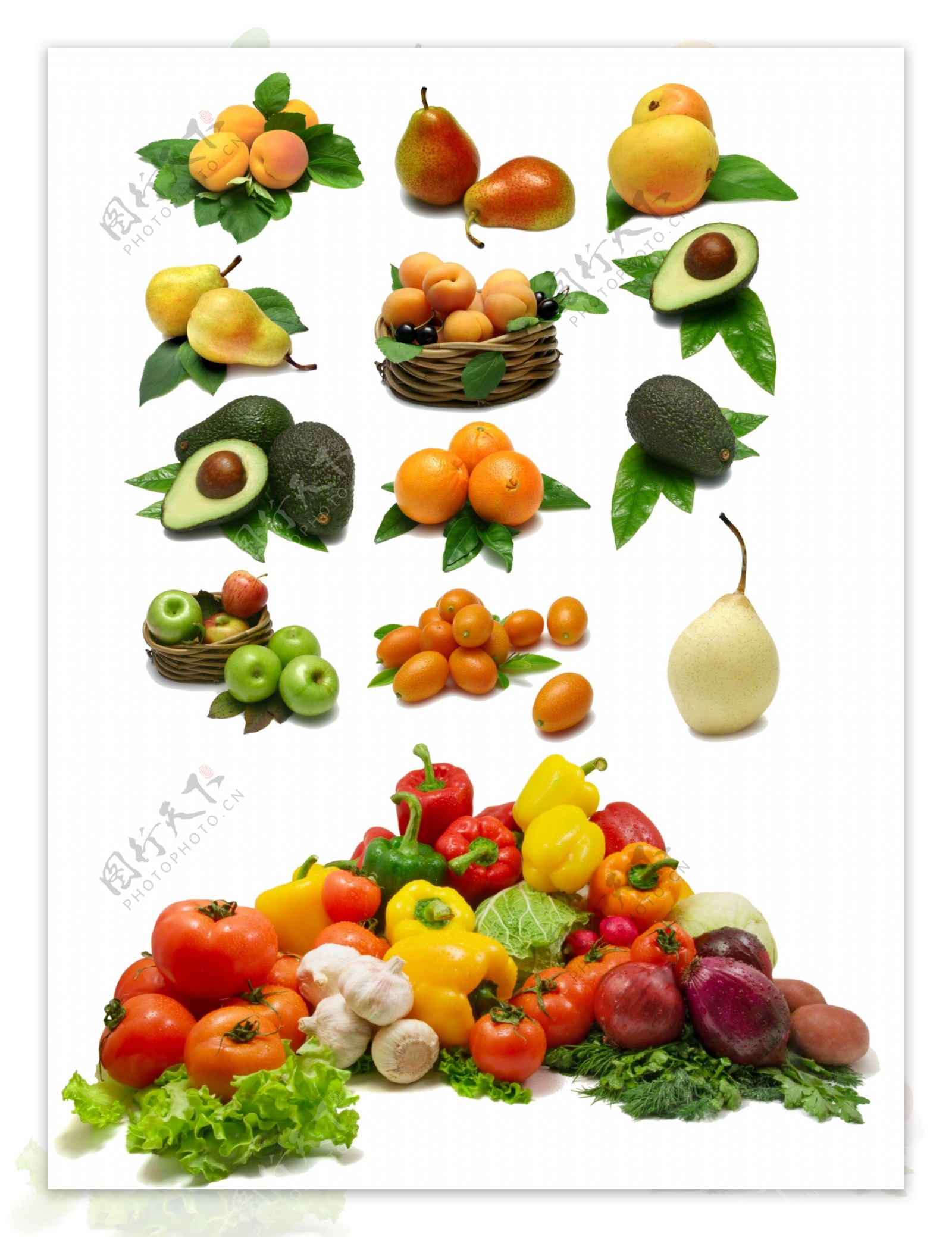 各种水果蔬菜