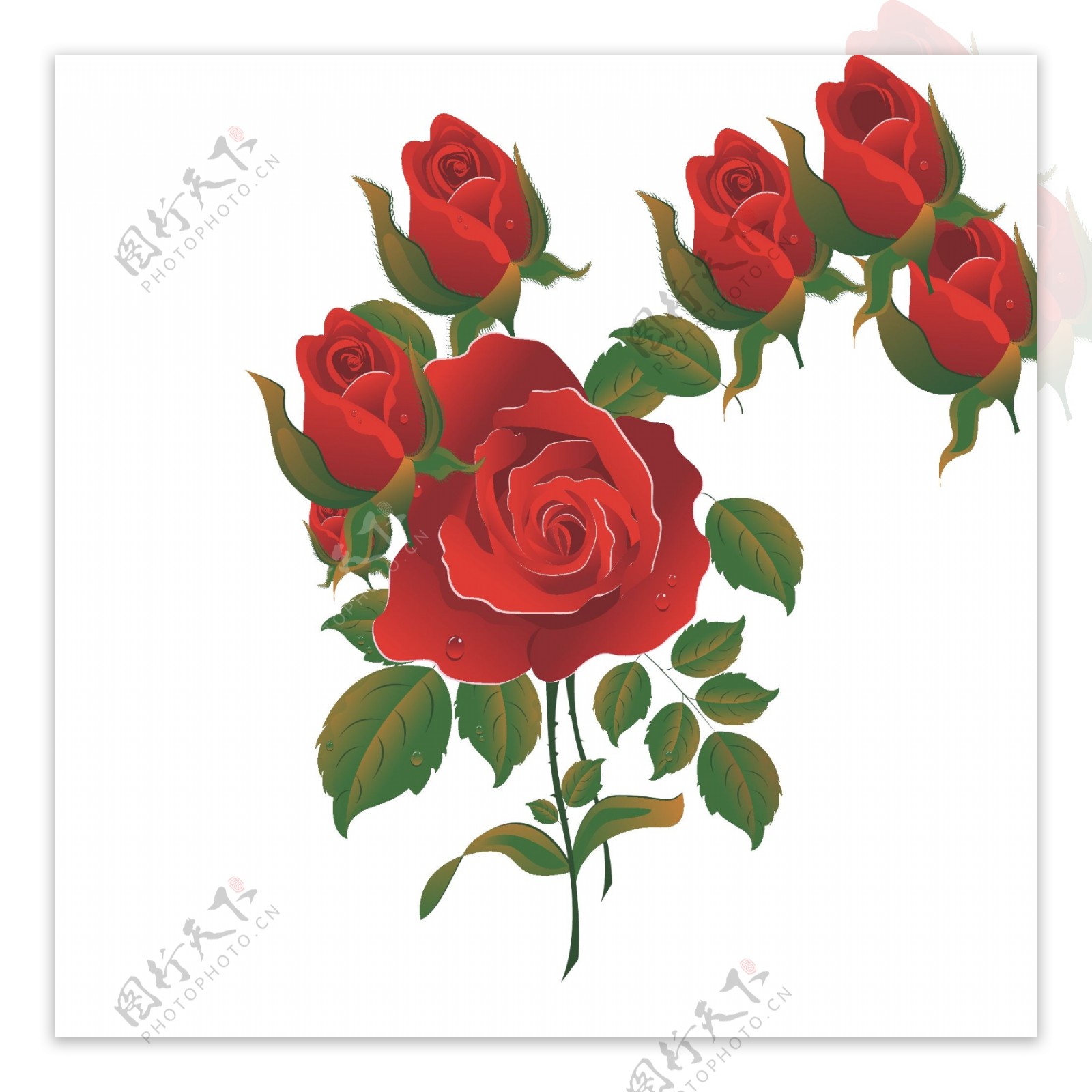印花矢量图毛衫印花优雅植物花卉色彩玫瑰花免费素材