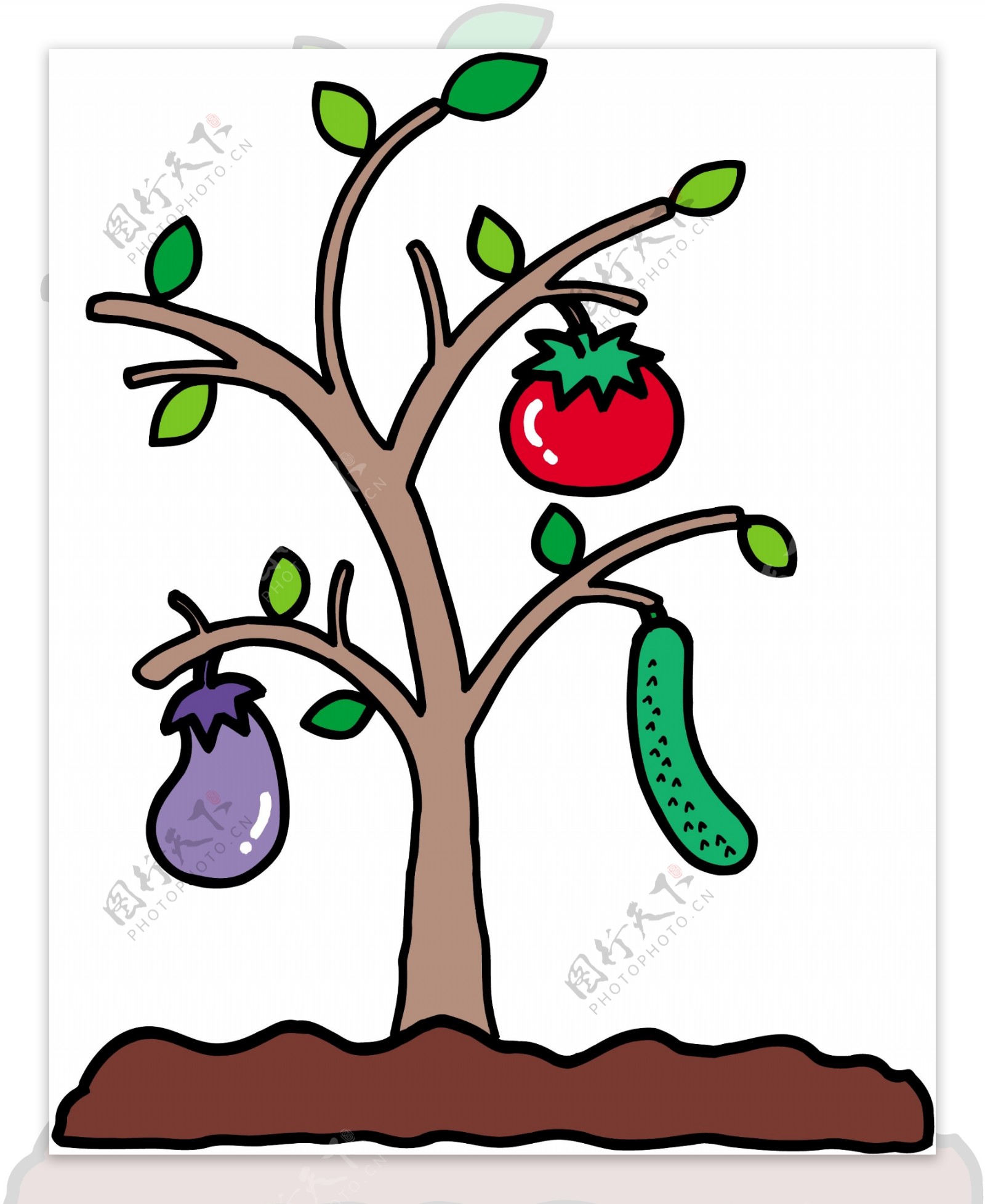 水果素菜插画图片