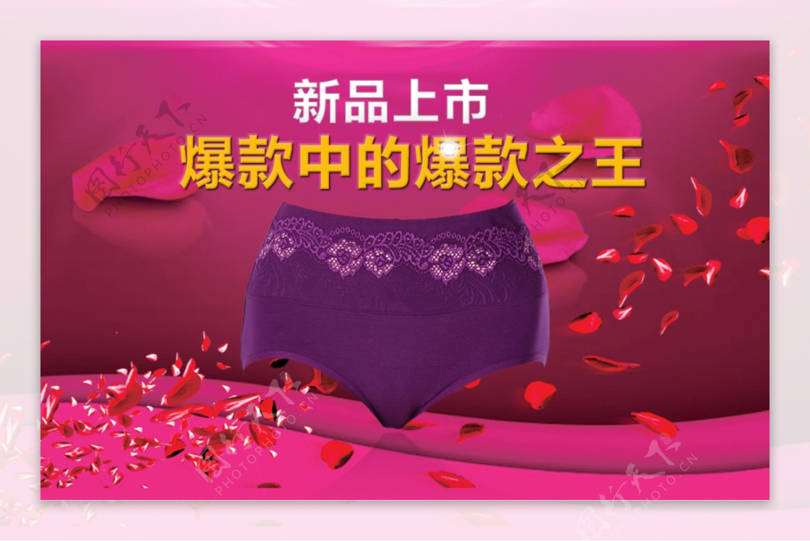 紫色蕾丝内裤海报图片