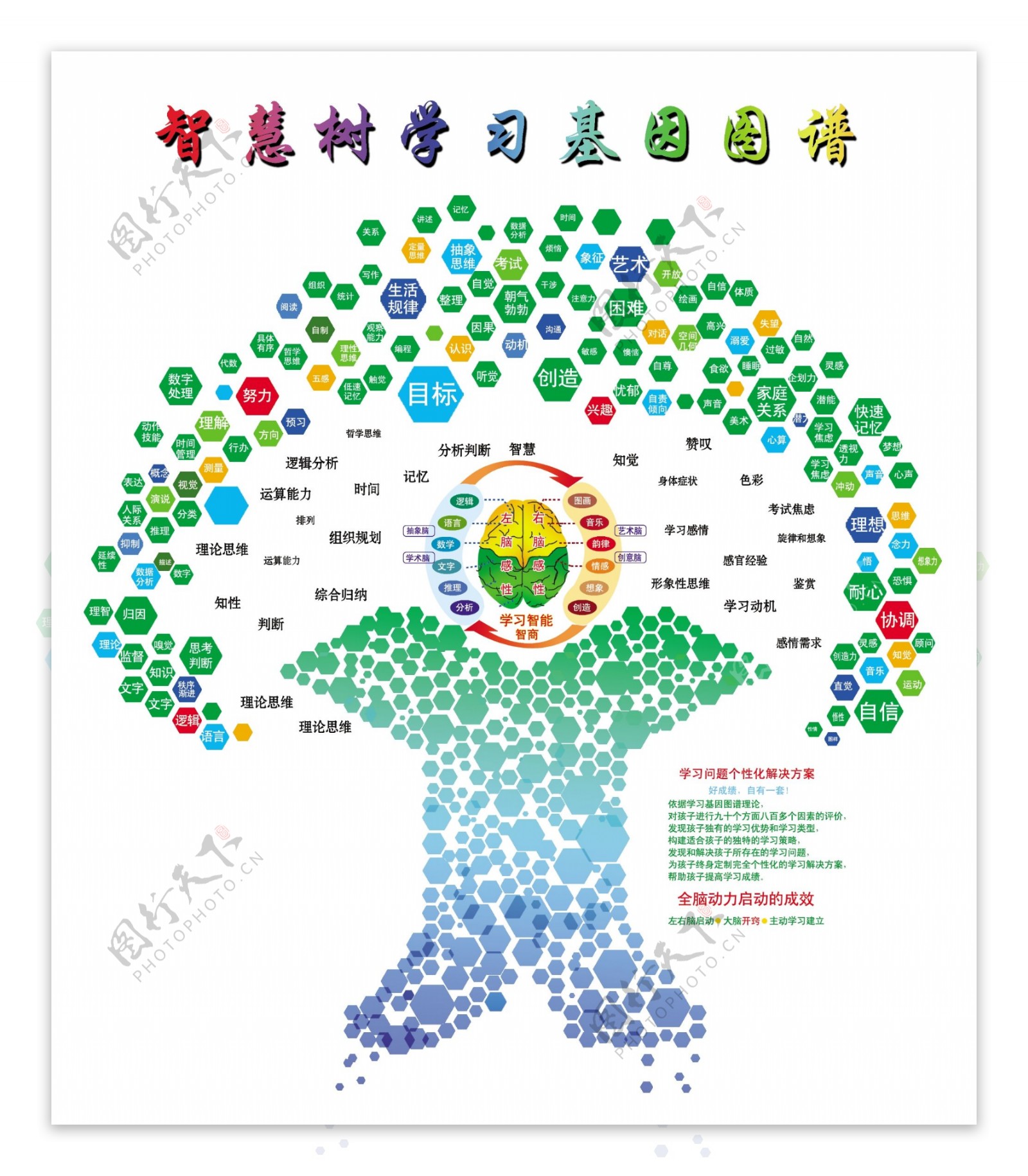 智慧树学习基因图谱图片