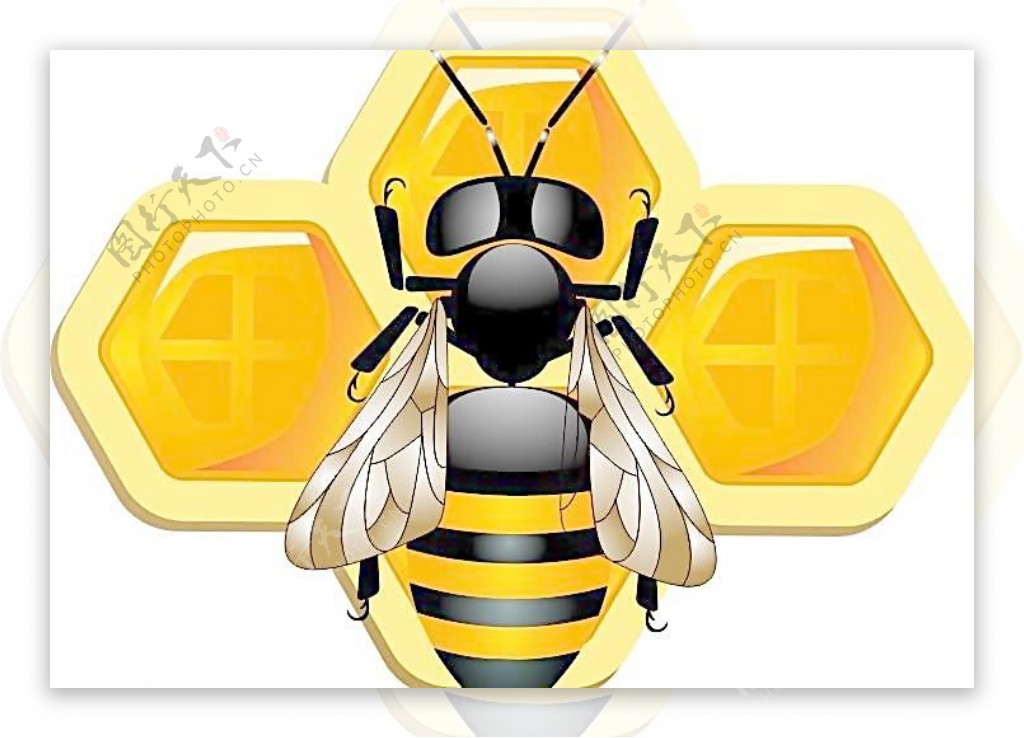 蜜蜂卡通矢量素材图片