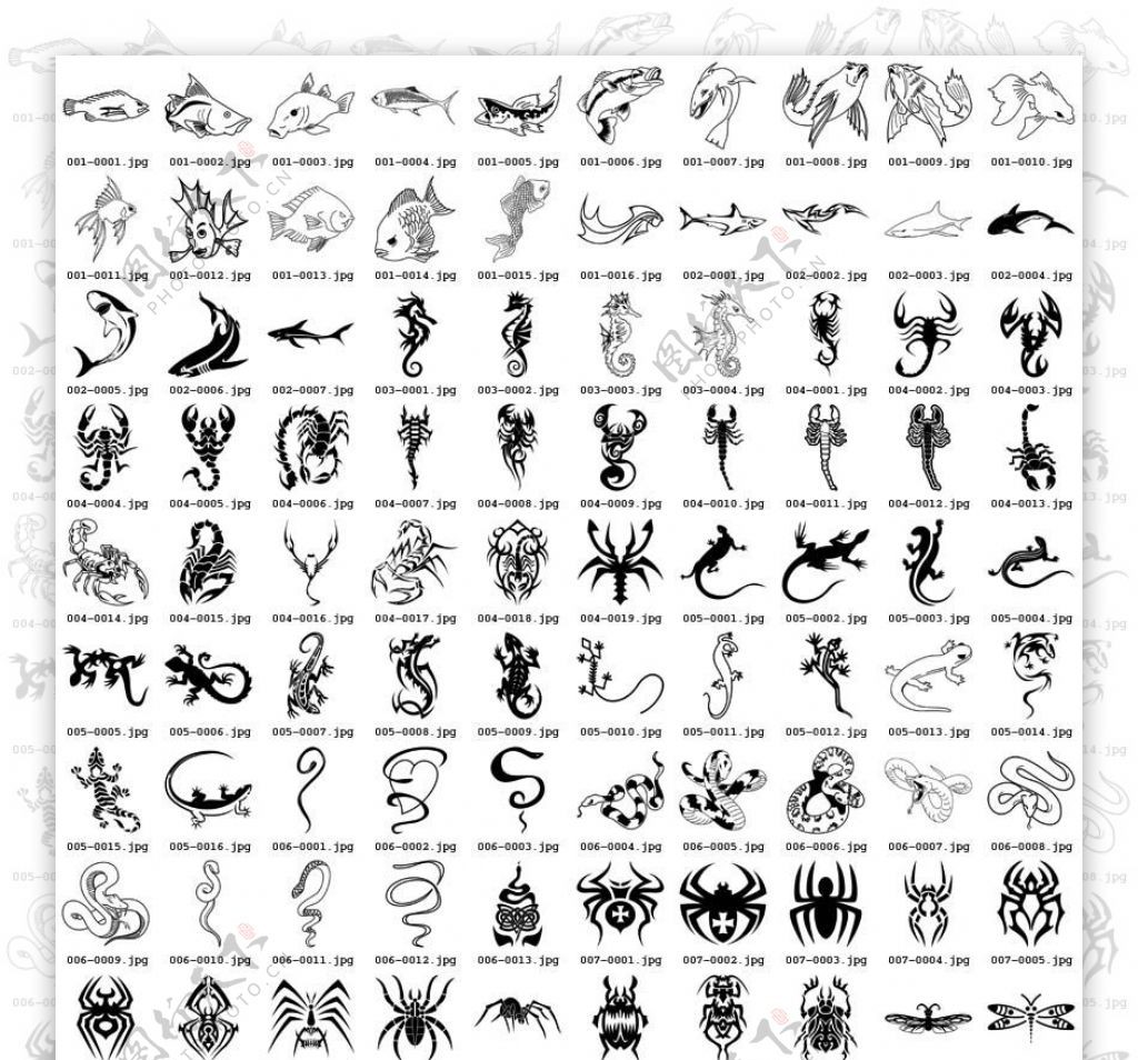 300种型号的各种各样的动物图腾矢量素材