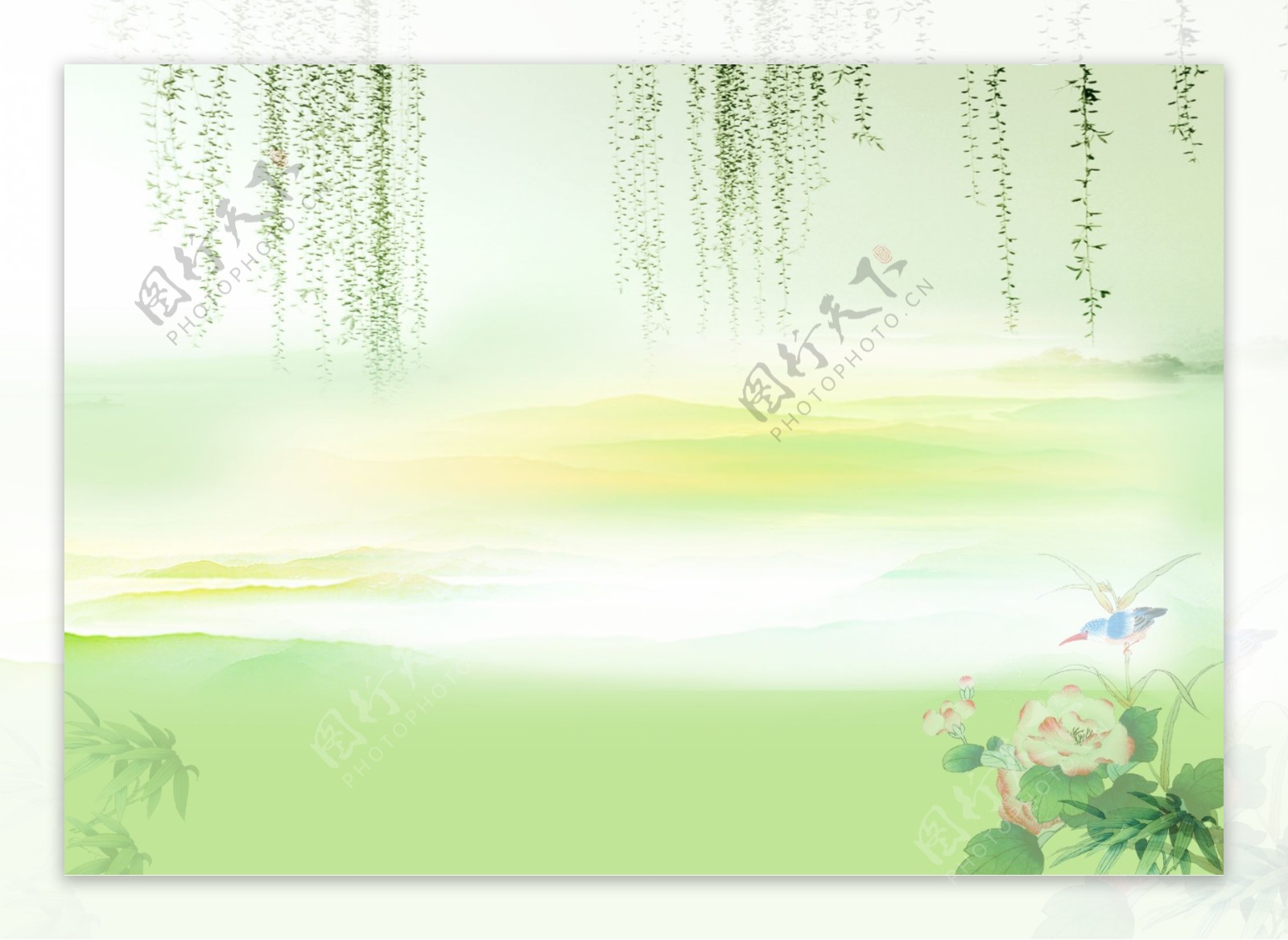 柳树花背景素材图片