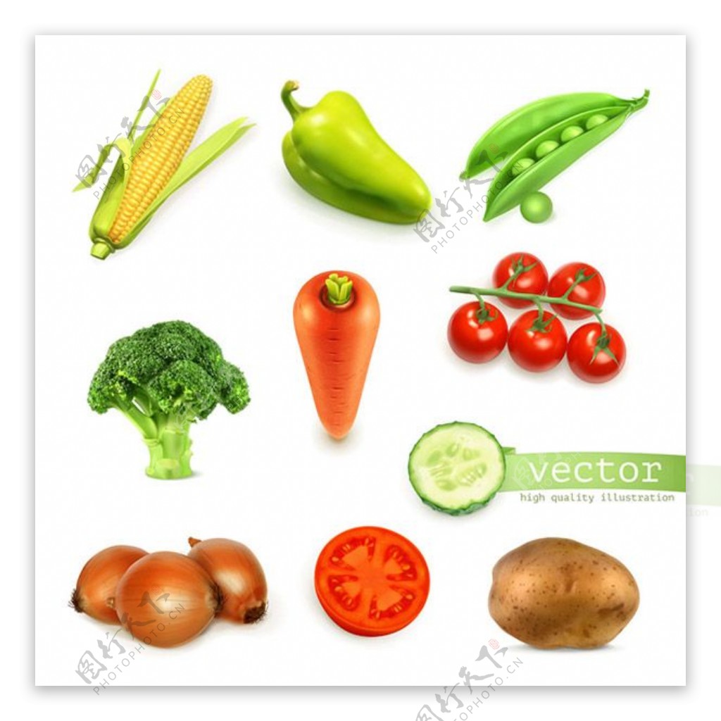 各种蔬菜图标矢量图.