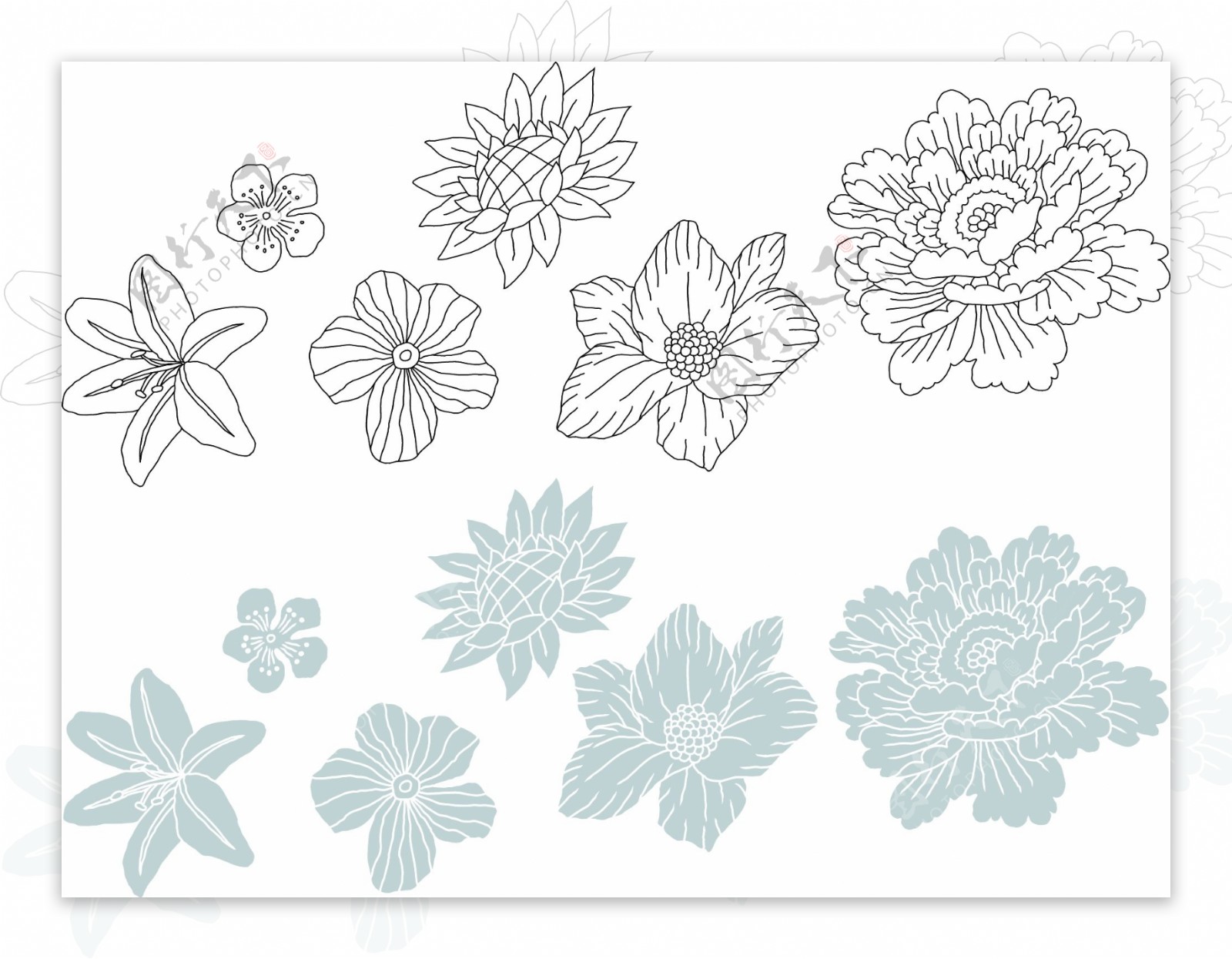 韩国花纹背景矢量素材系列花朵