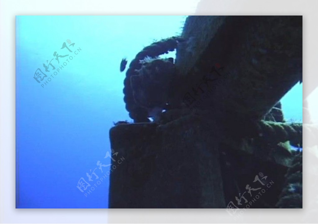 海底世界背景视频素材素材下载