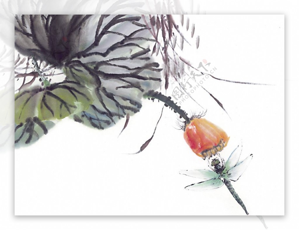 水墨画昆虫蝗虫蚂蚱蛐蛐知了中华艺术绘画