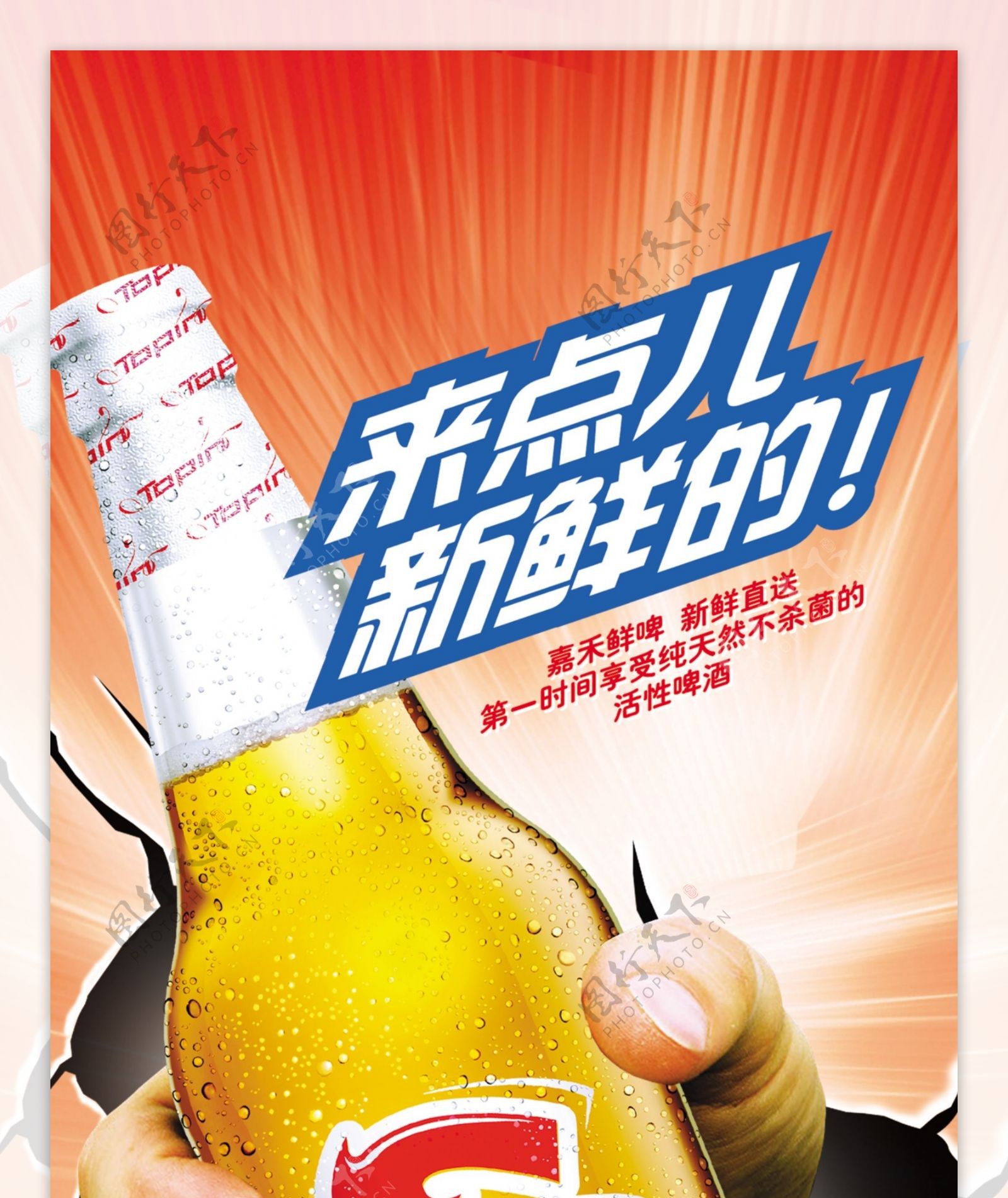 龙腾广告平面广告PSD分层素材源文件酒嘉禾啤酒手
