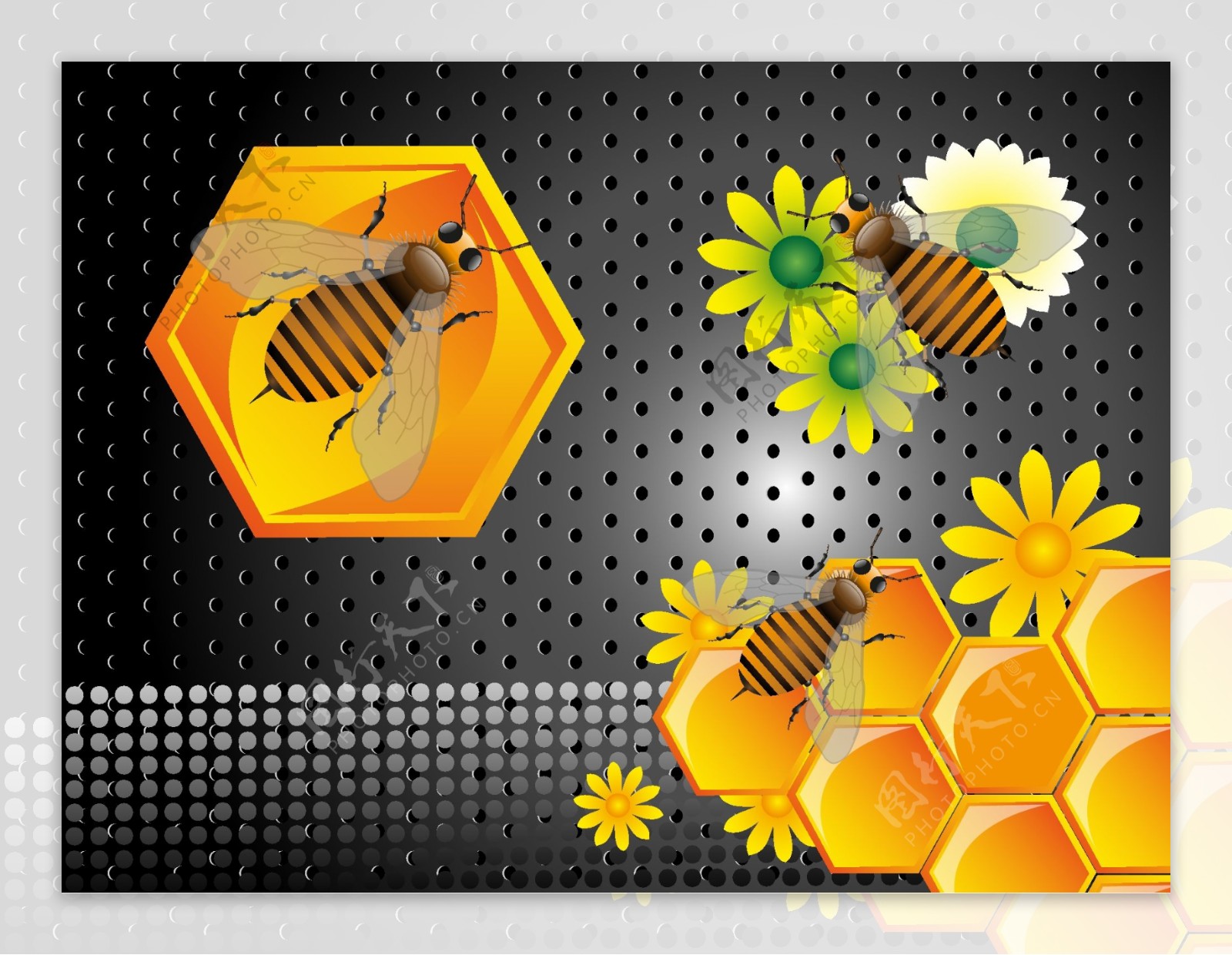 天然蜂蜜背景矢量图片